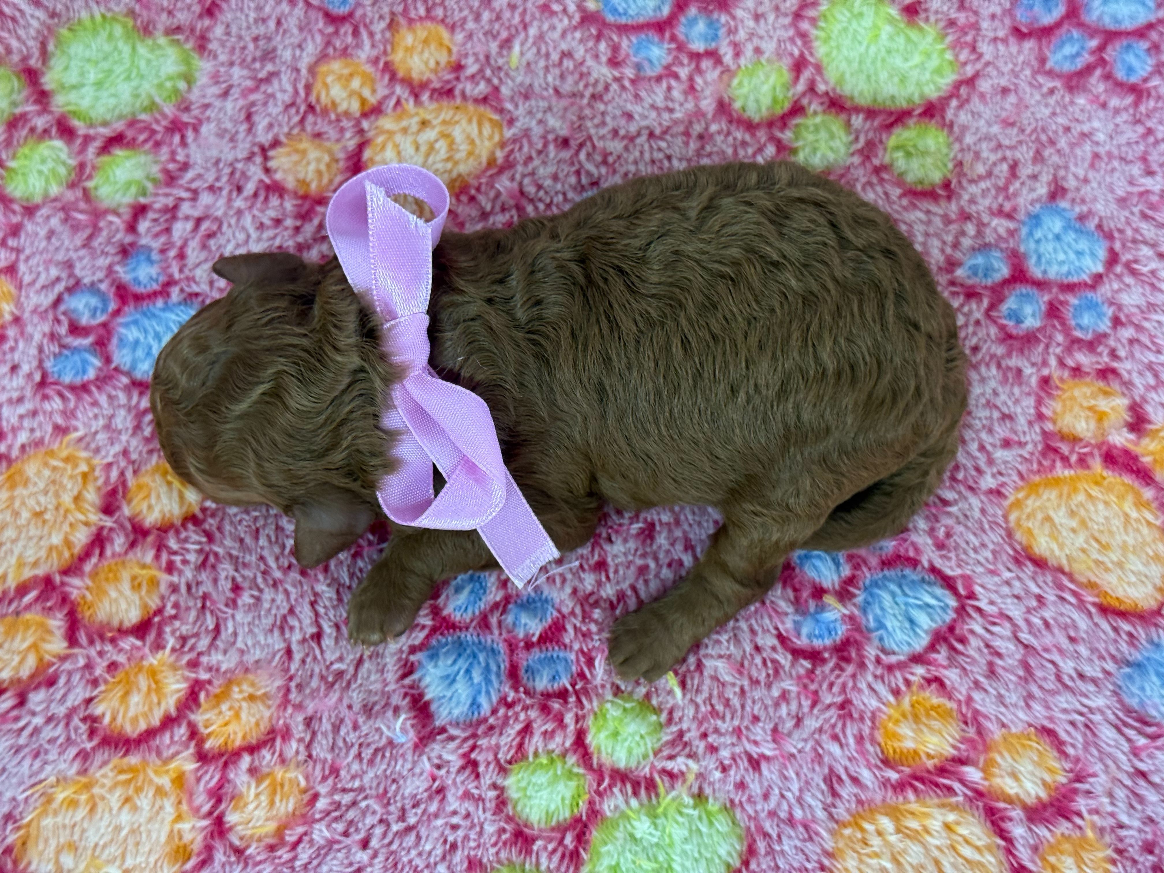 赤ちゃん写真1-3