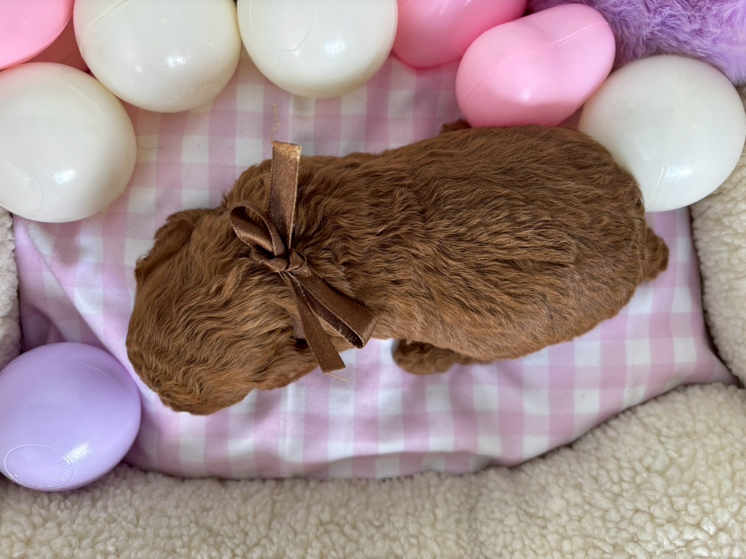 赤ちゃん写真2-3