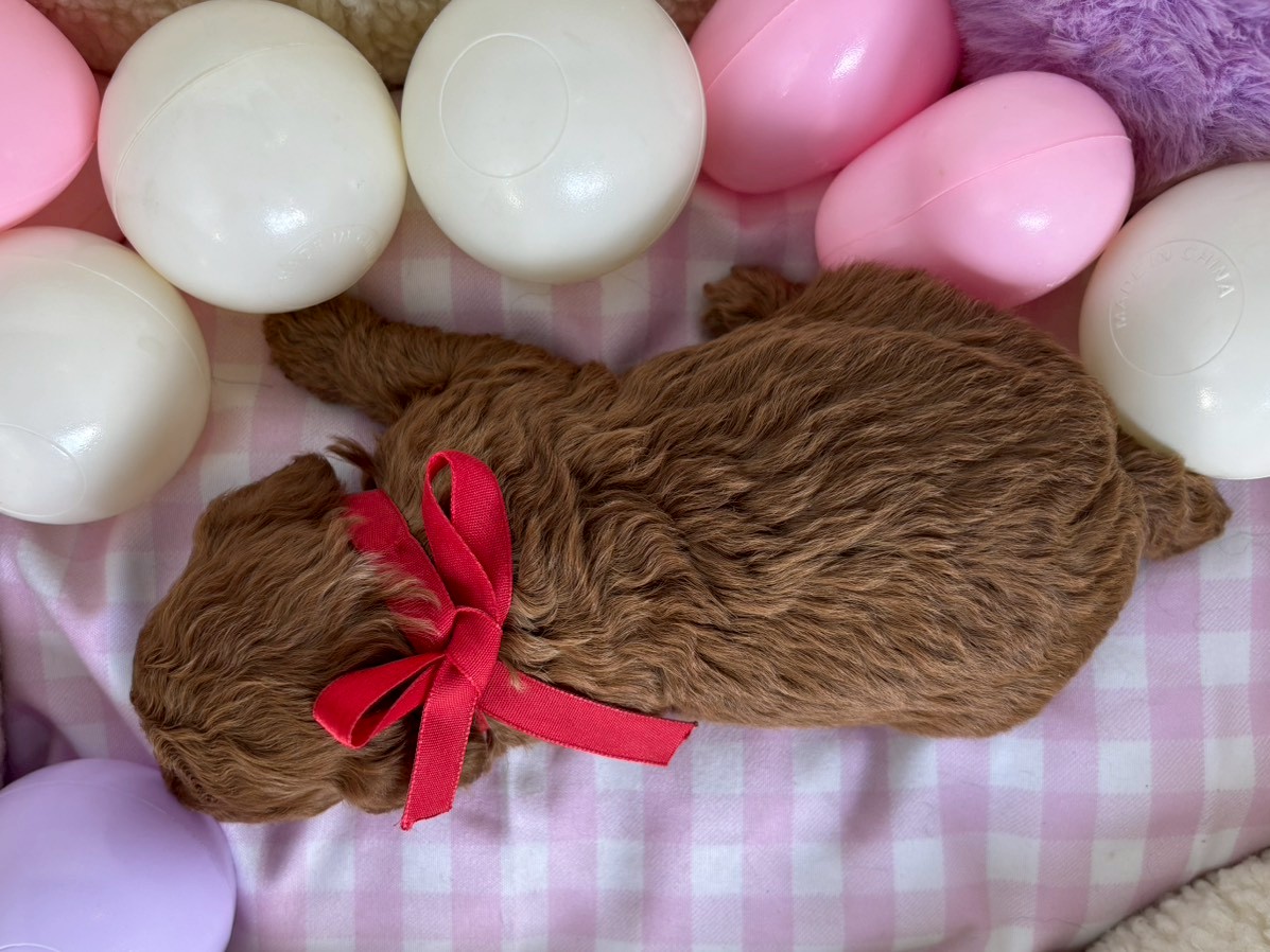赤ちゃん写真2-3
