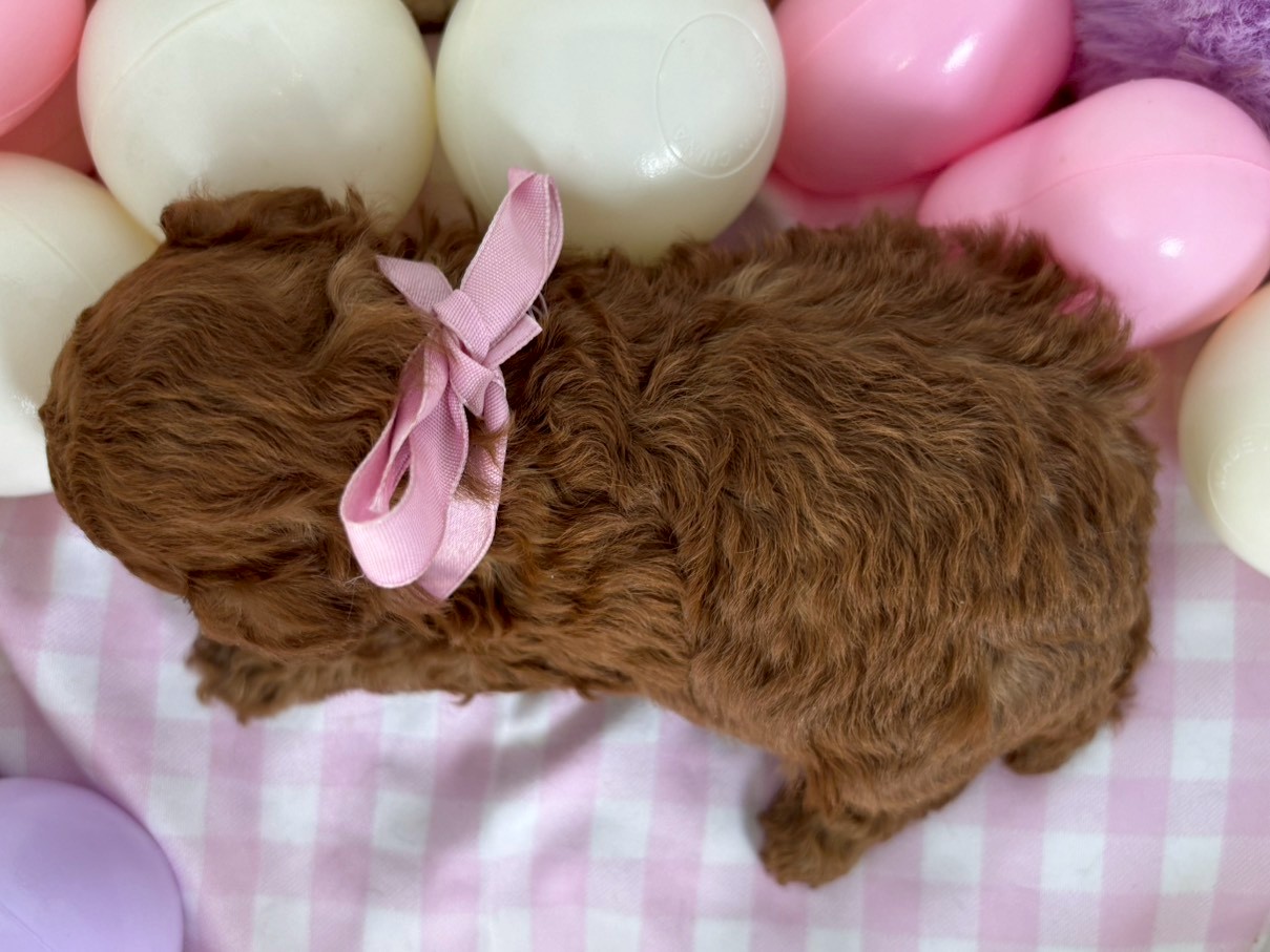 赤ちゃん写真2-3