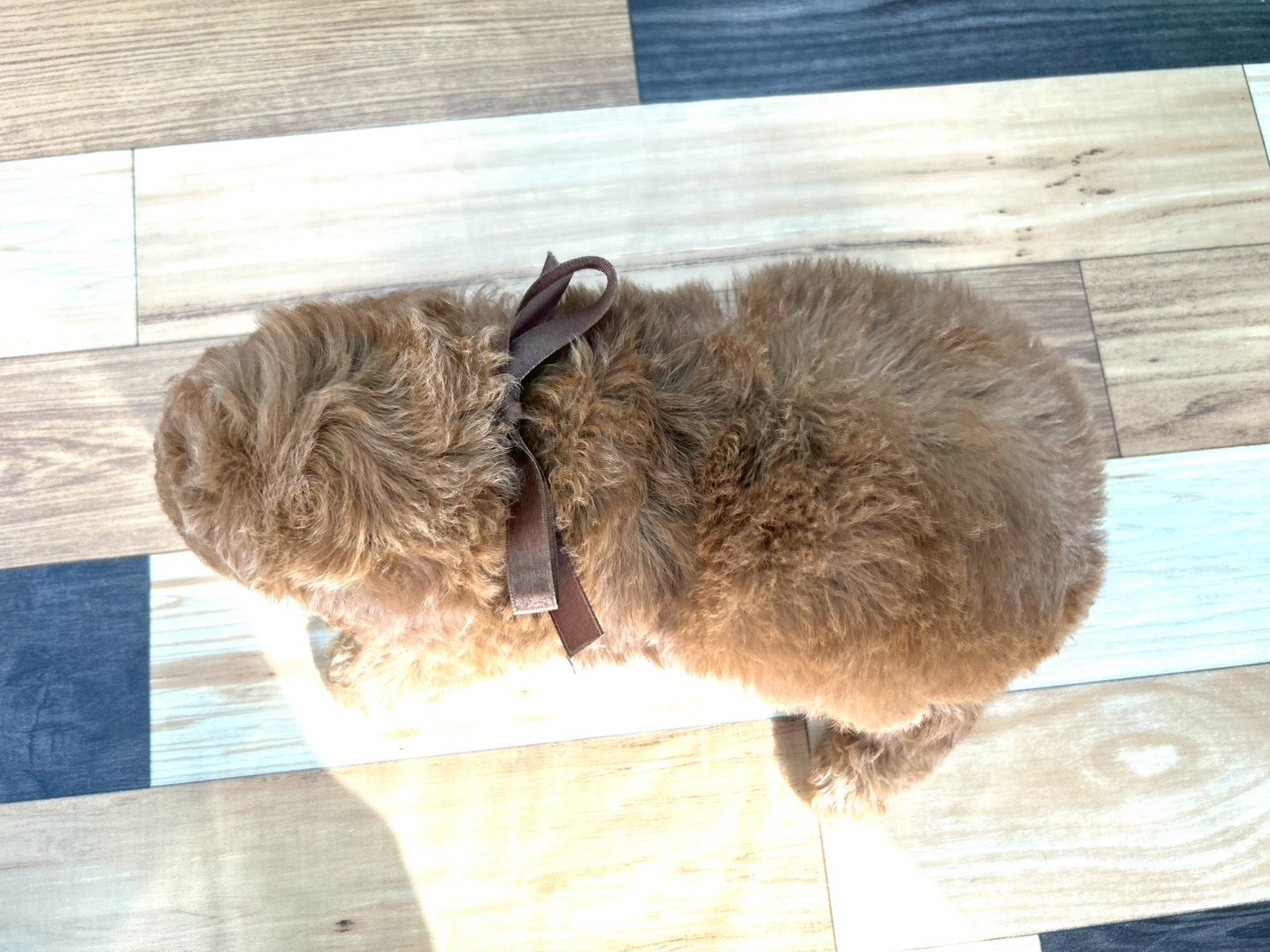 赤ちゃん写真3-3