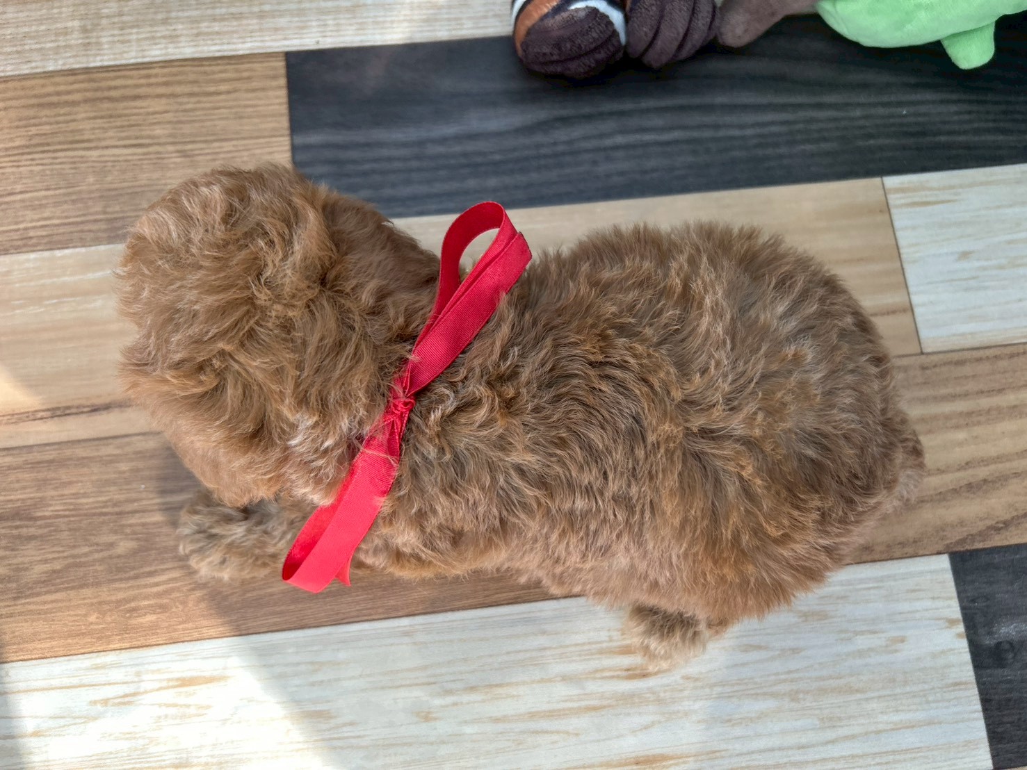赤ちゃん写真3-3