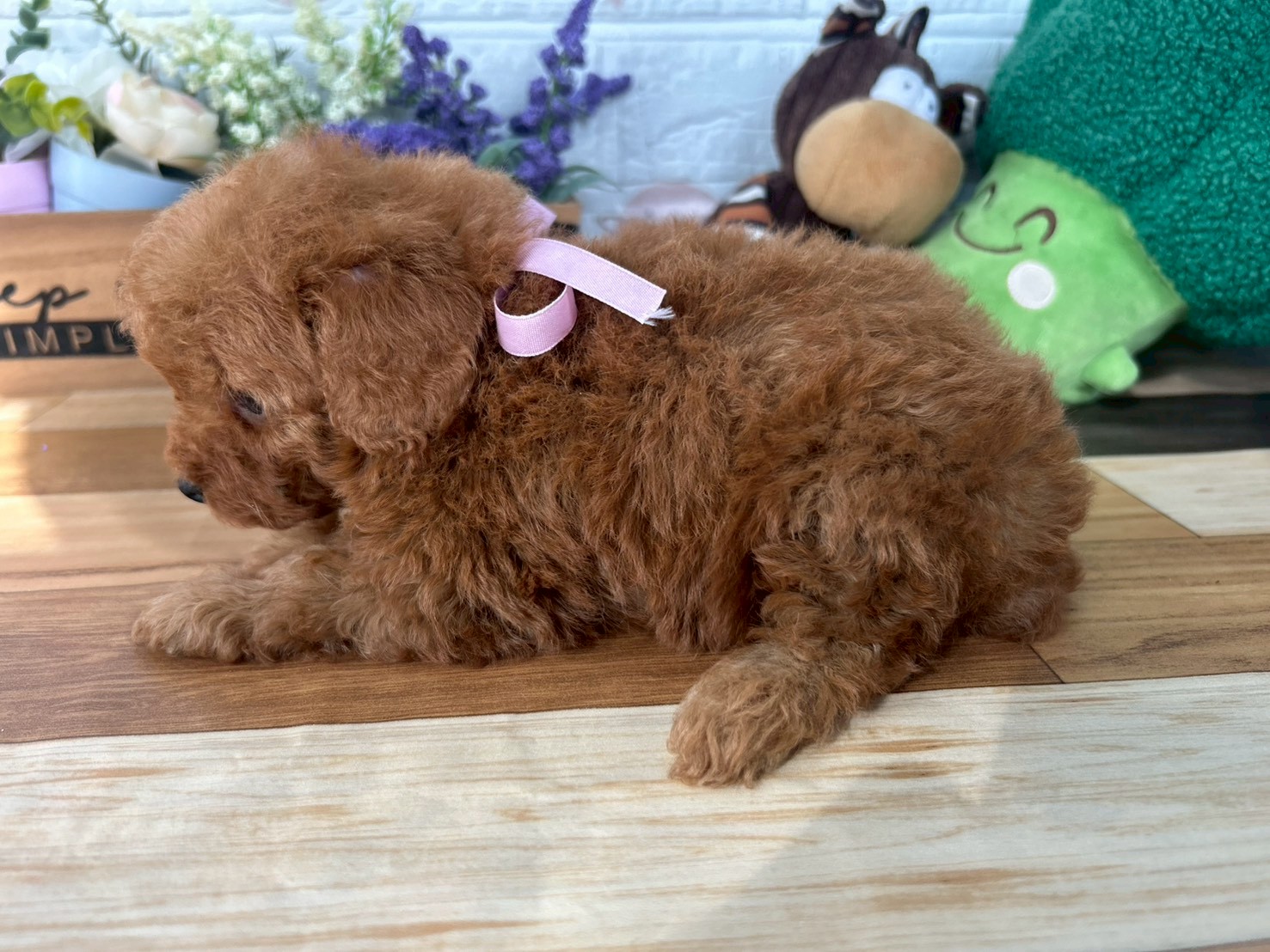 赤ちゃん写真3-2
