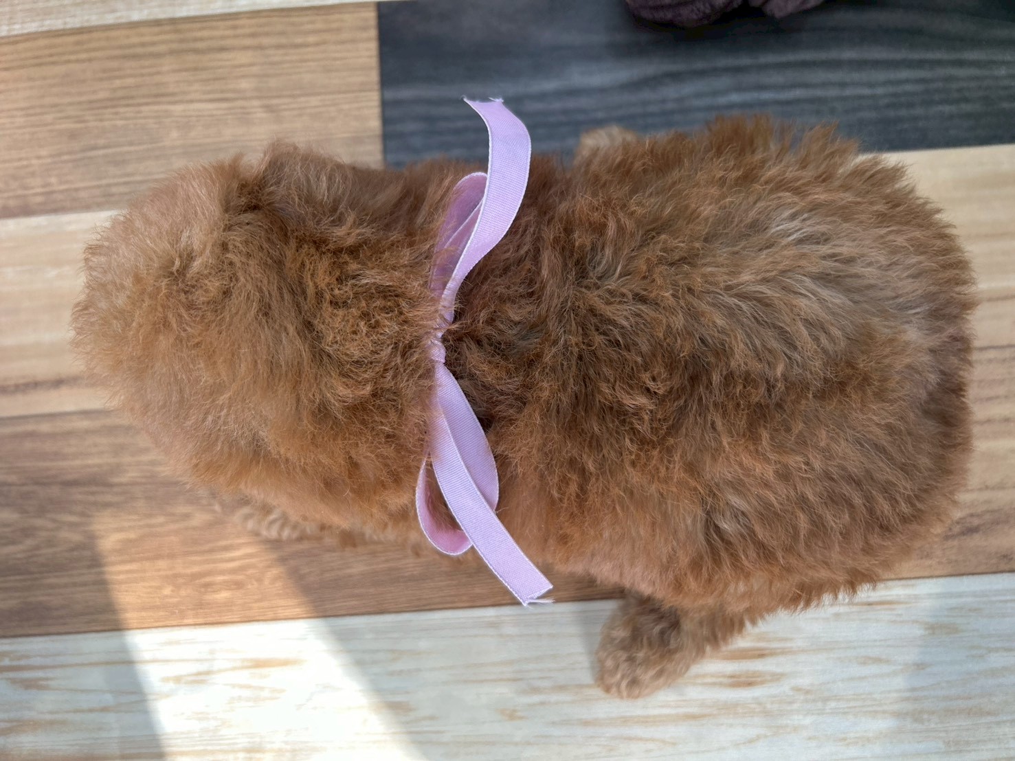 赤ちゃん写真3-3