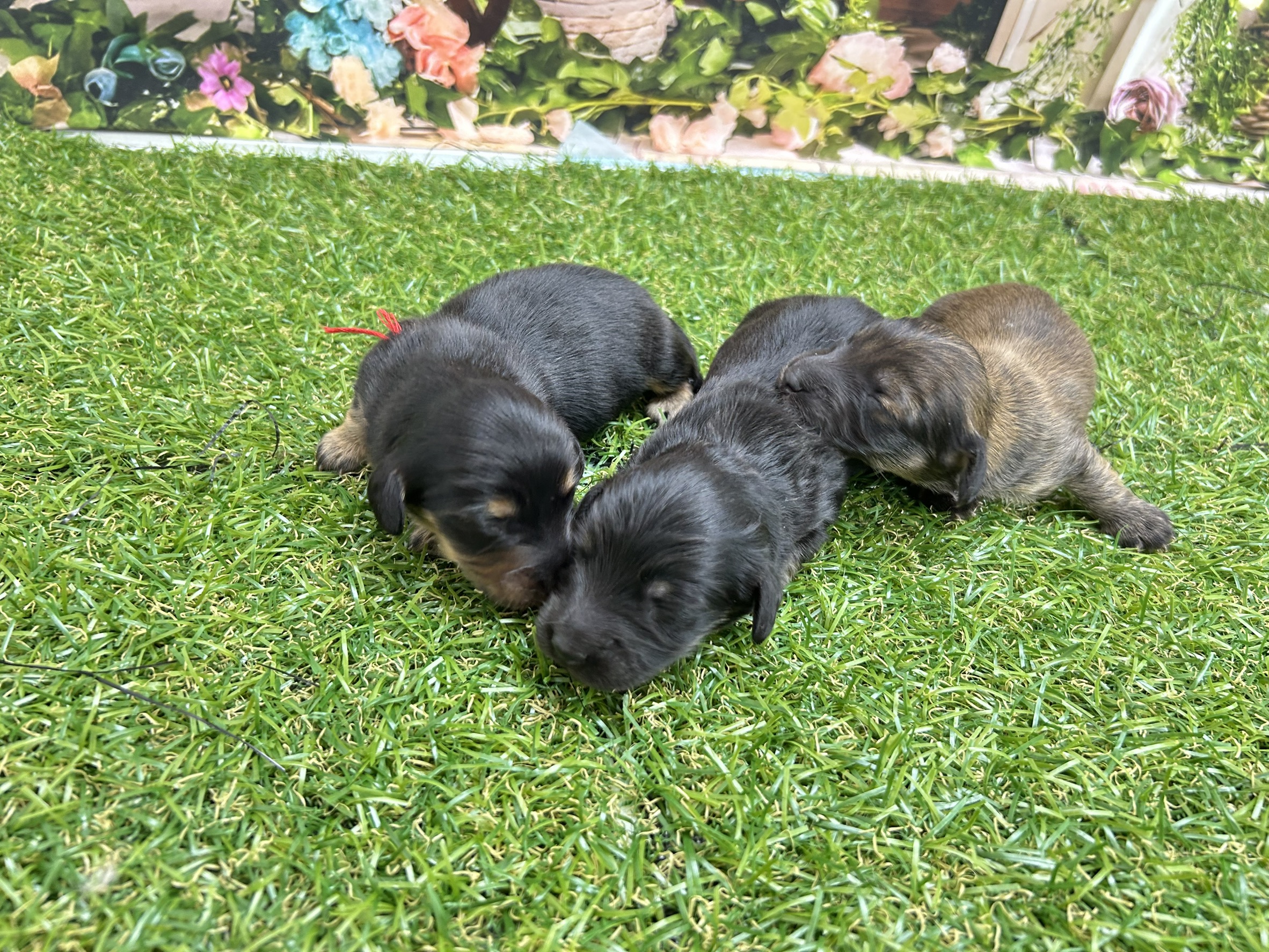 赤ちゃん写真1-3