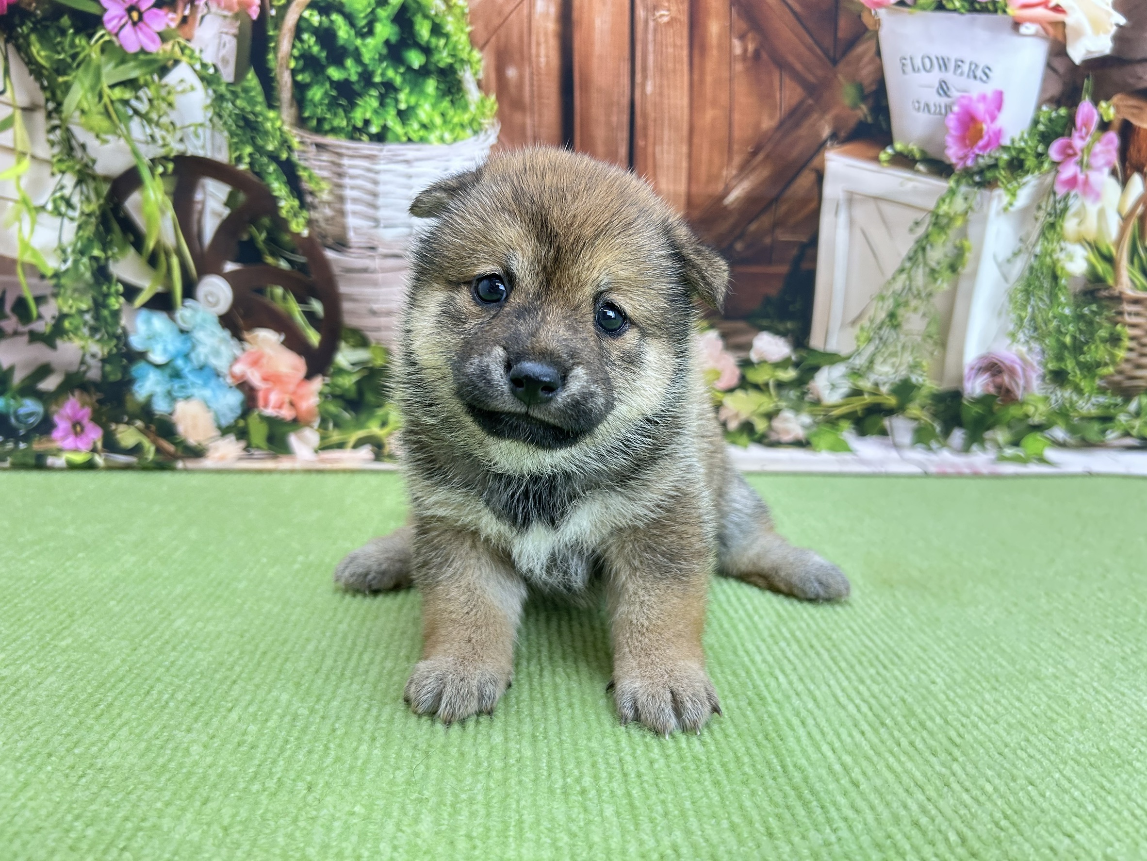 赤ちゃん写真2-1