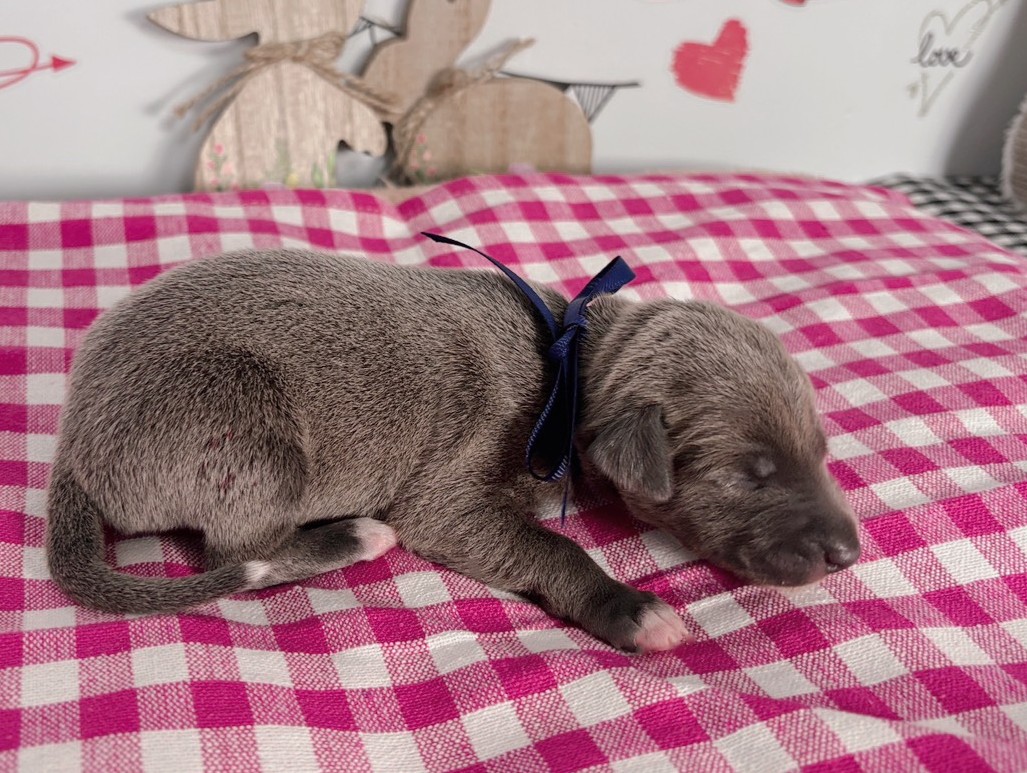 赤ちゃん写真1-2