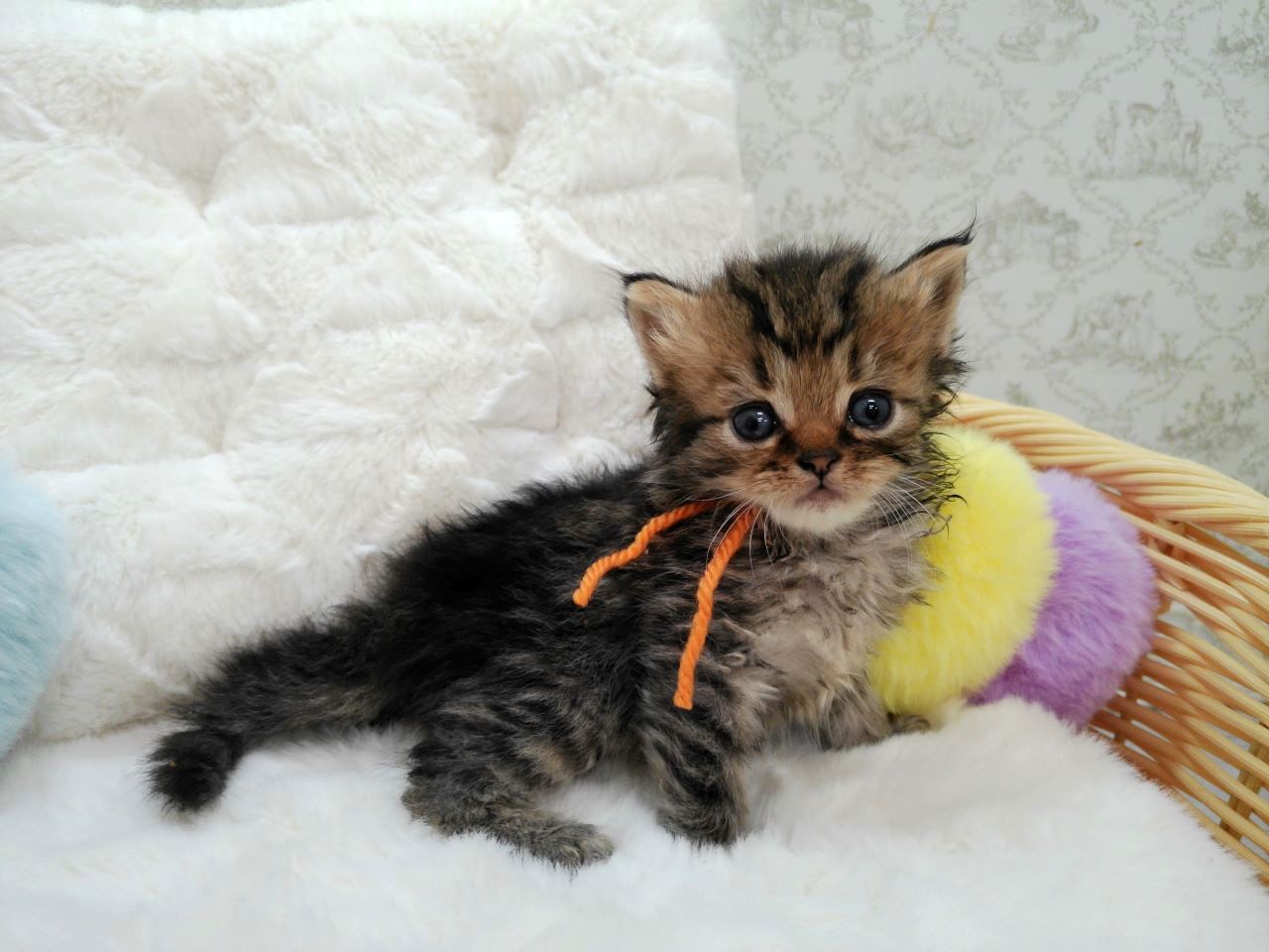赤ちゃん写真1-2