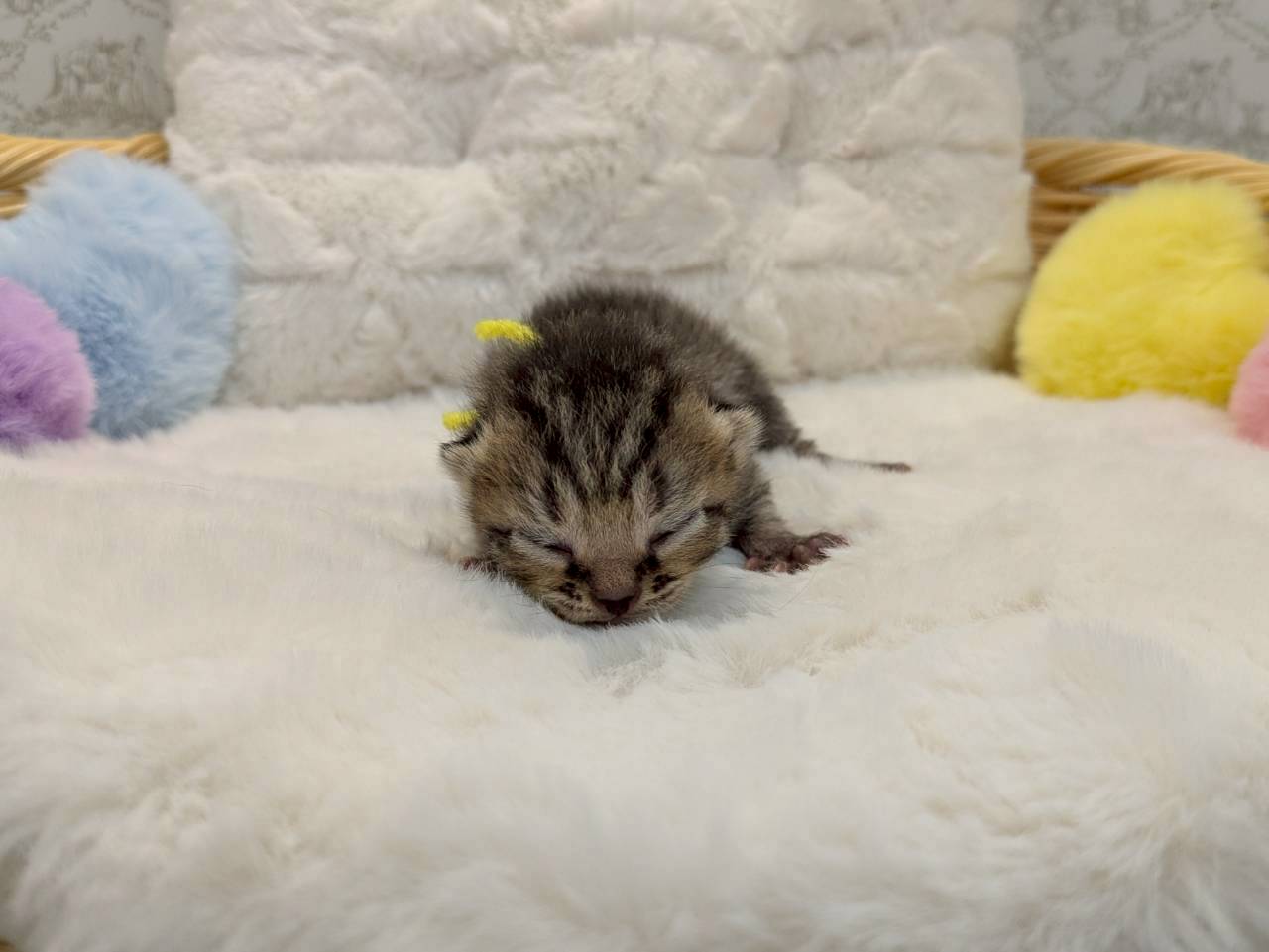 赤ちゃん写真1-1