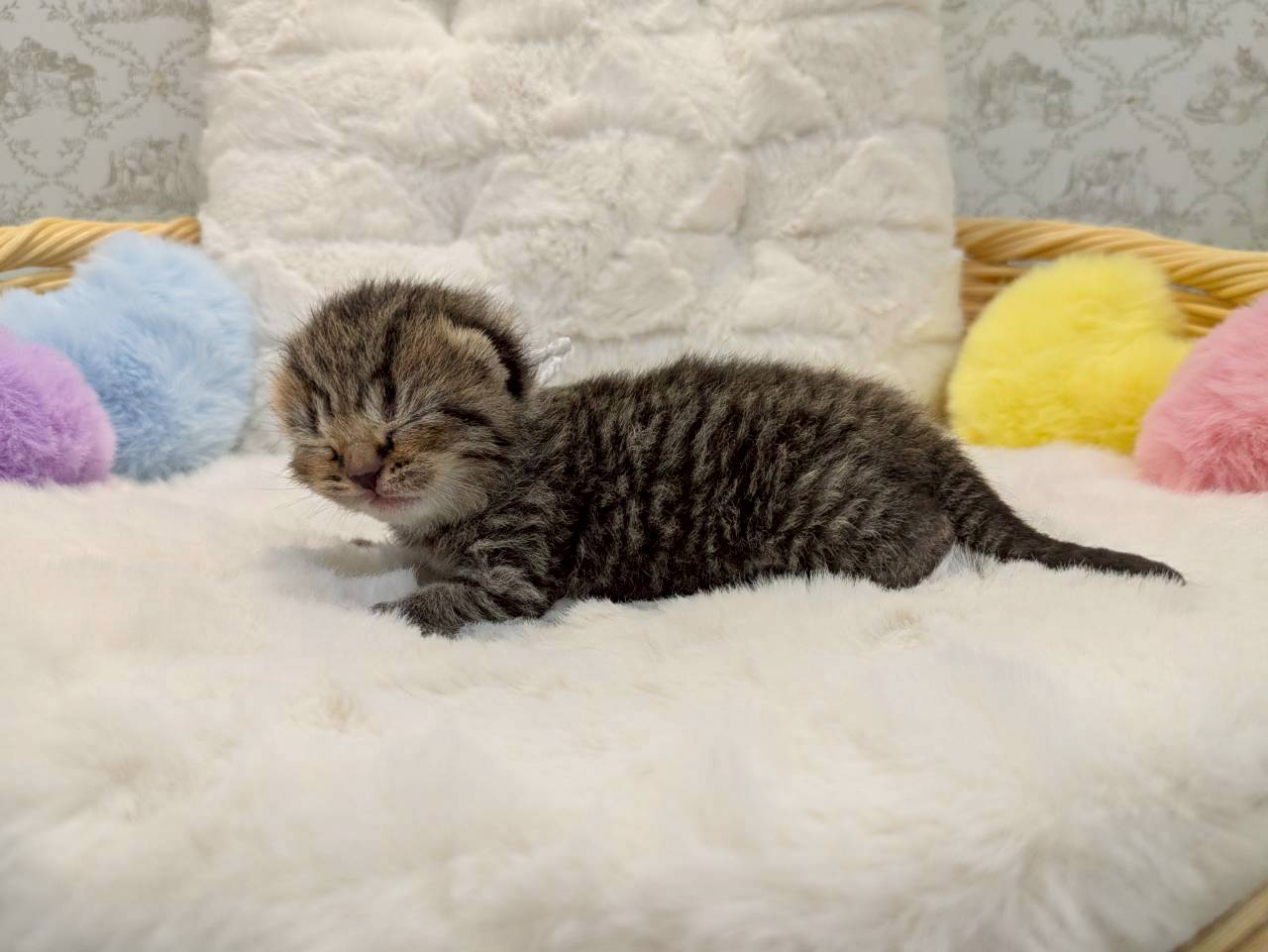 赤ちゃん写真1-2