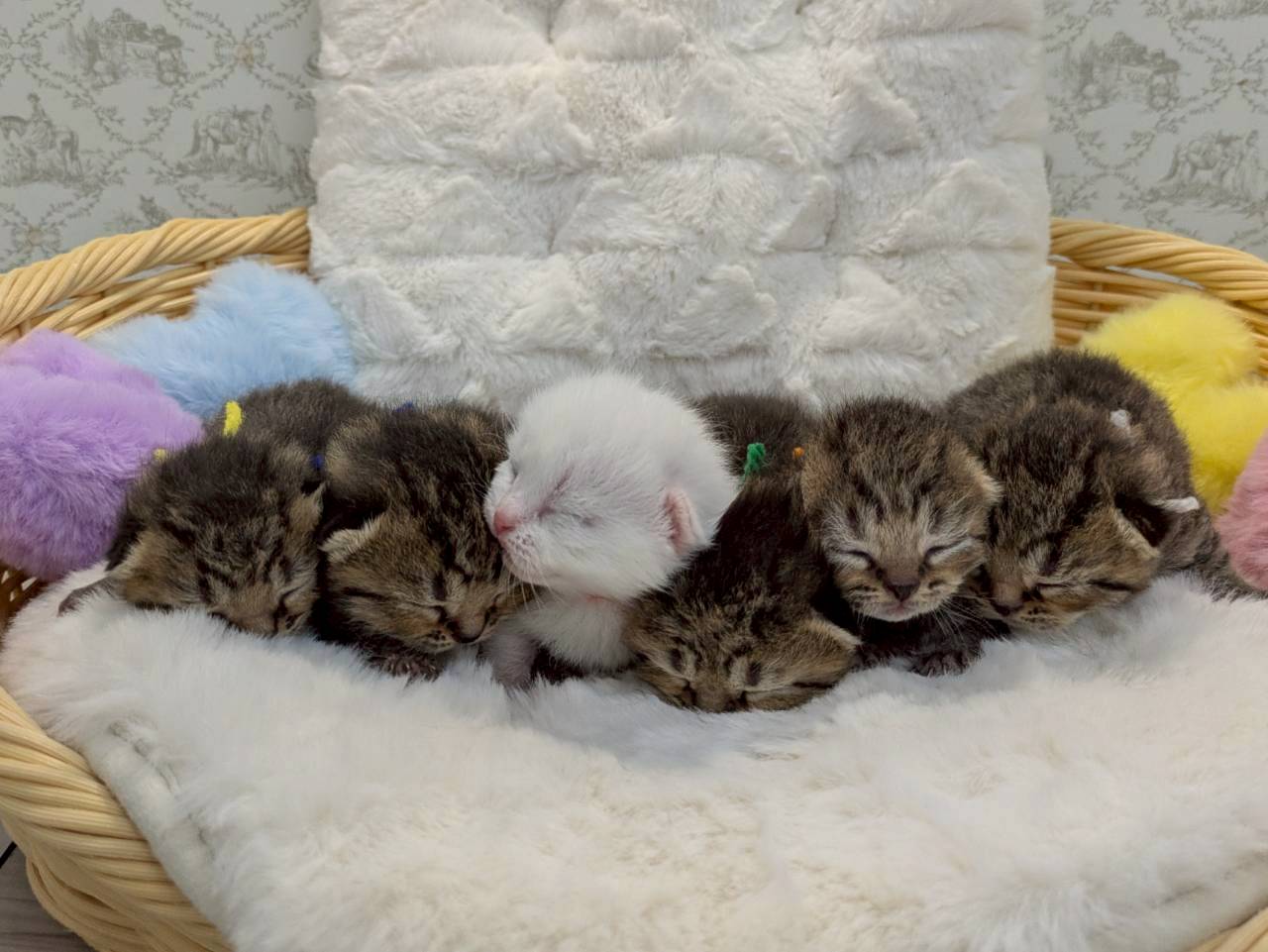 赤ちゃん写真1-3