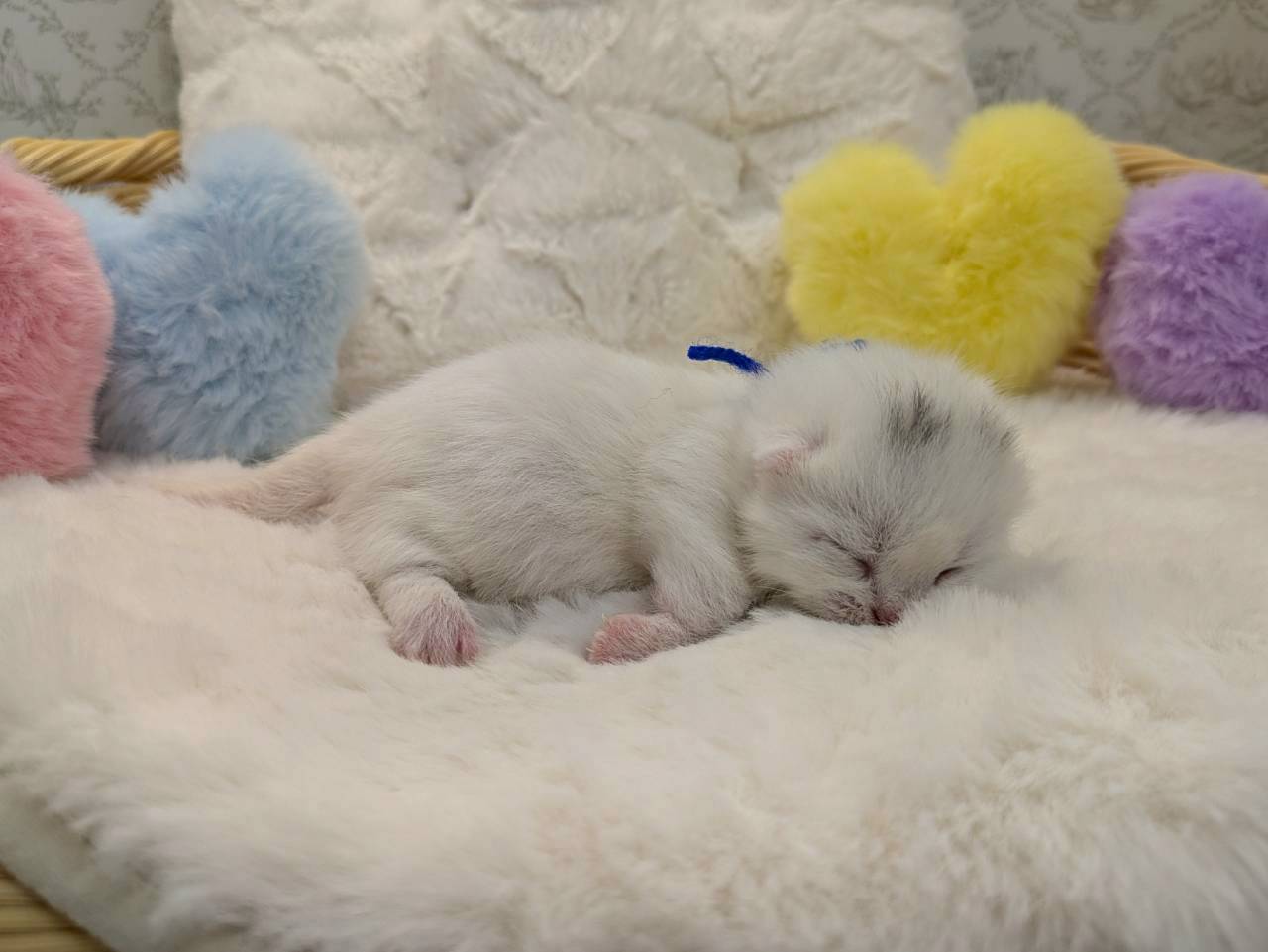 赤ちゃん写真1-2