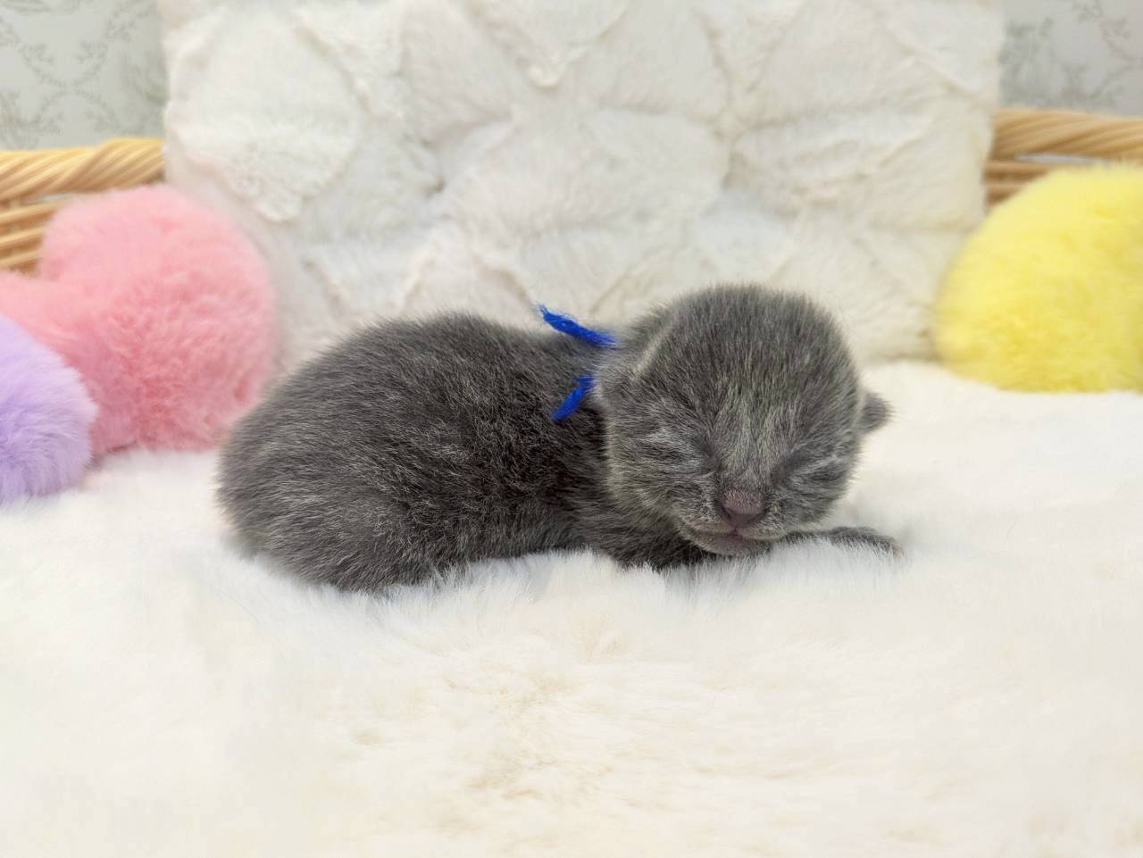 赤ちゃん写真1-2