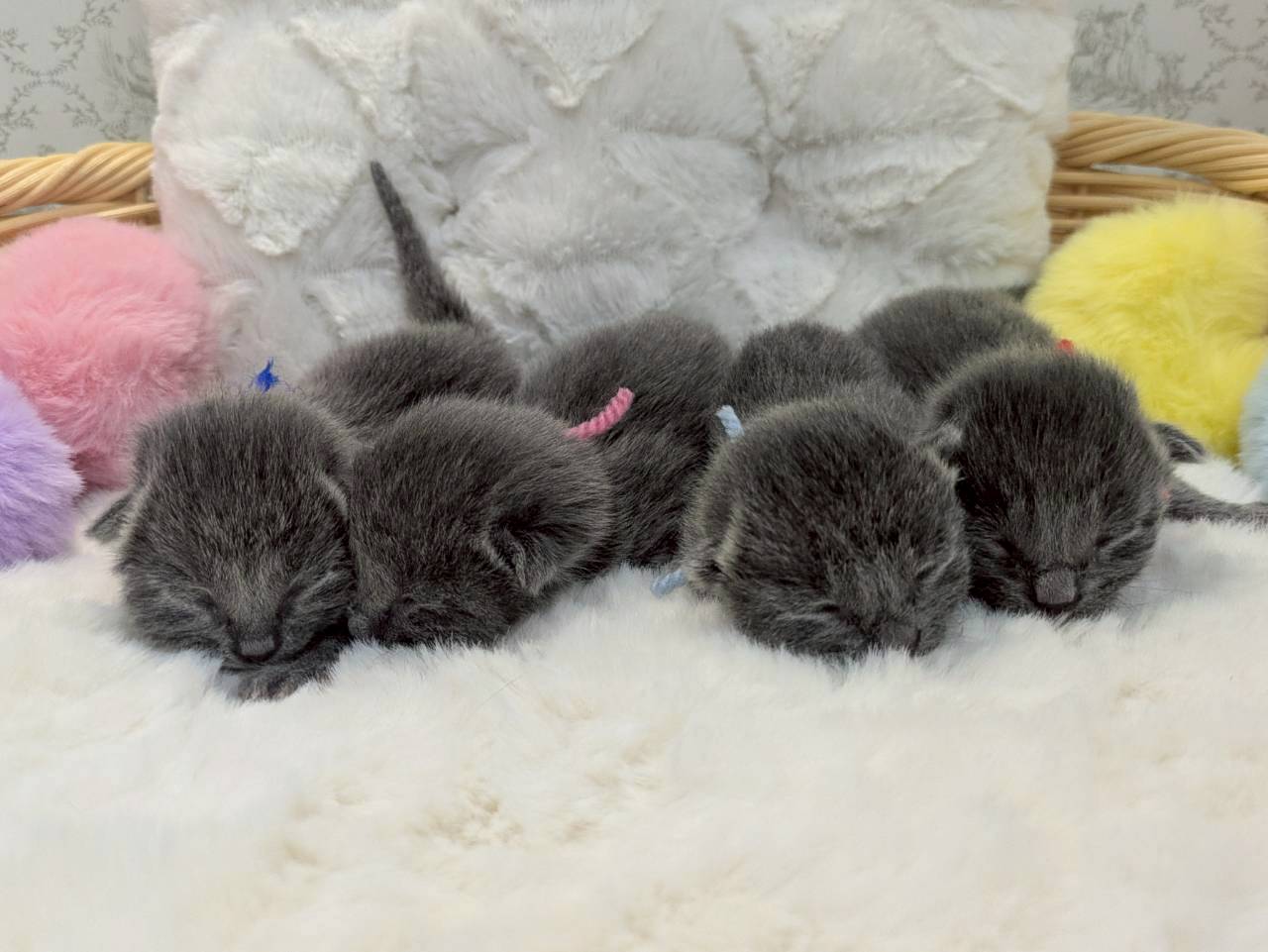 赤ちゃん写真1-3