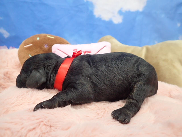 赤ちゃん写真1-2