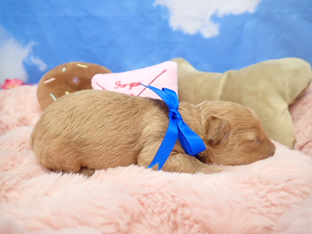 赤ちゃん写真1-2