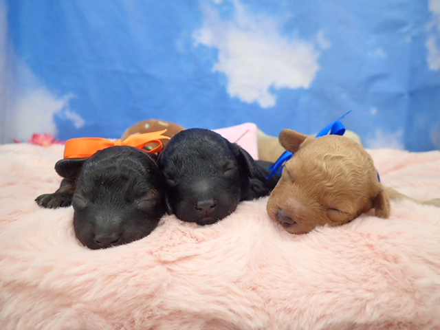 赤ちゃん写真1-3