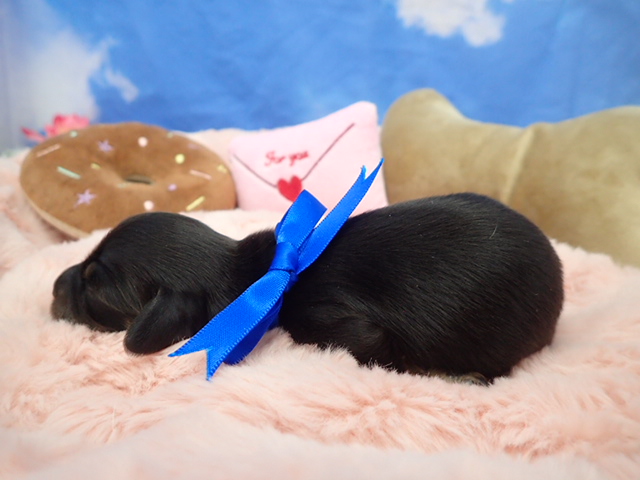 赤ちゃん写真1-2