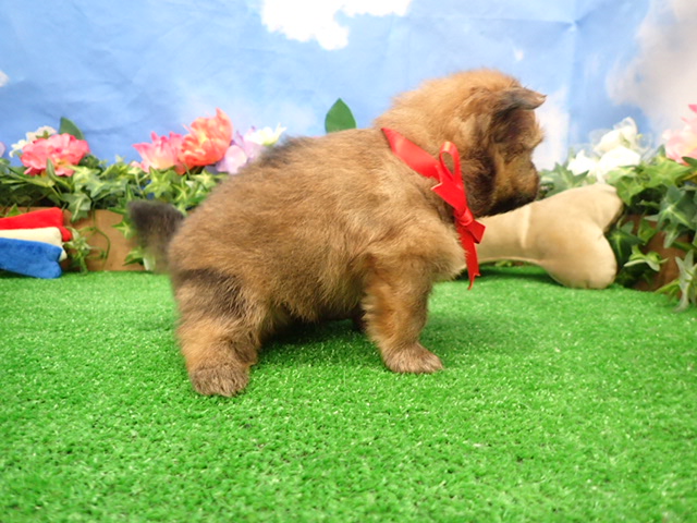 赤ちゃん写真2-2