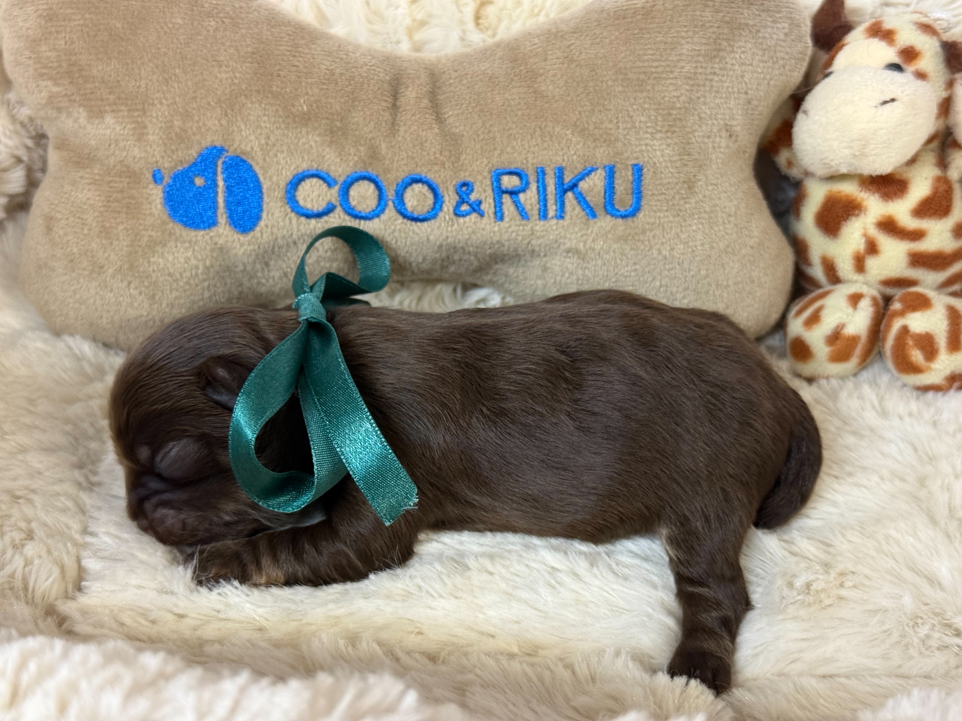 赤ちゃん写真1-2