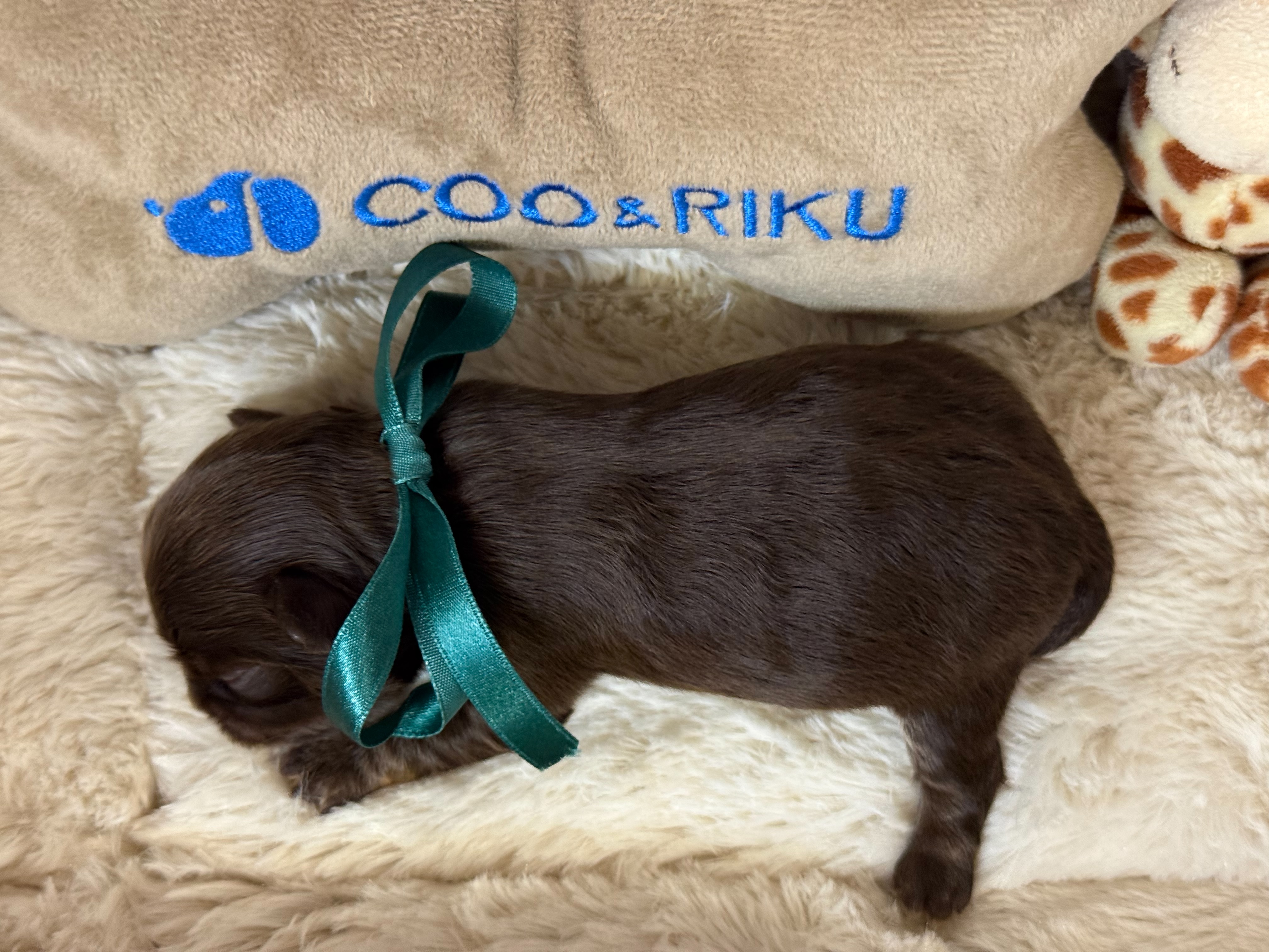 赤ちゃん写真1-3