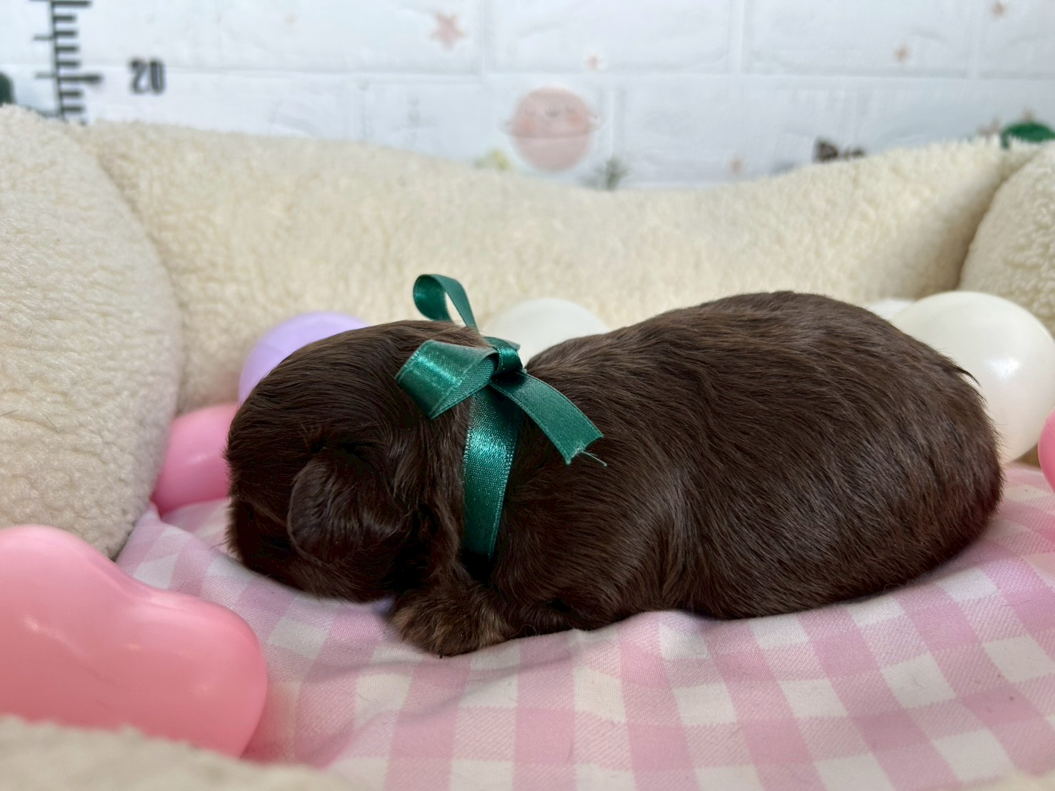 赤ちゃん写真2-2