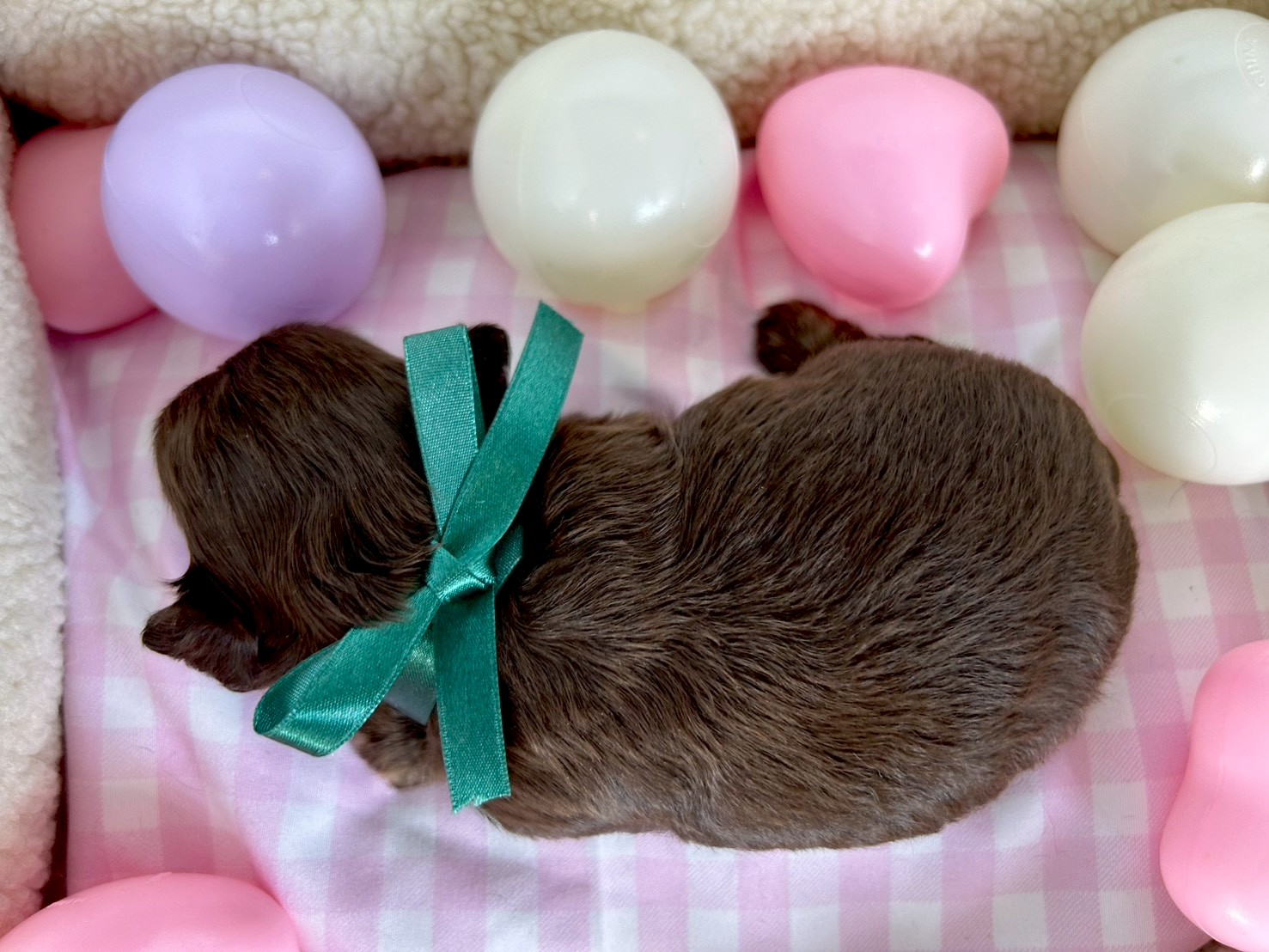 赤ちゃん写真2-3