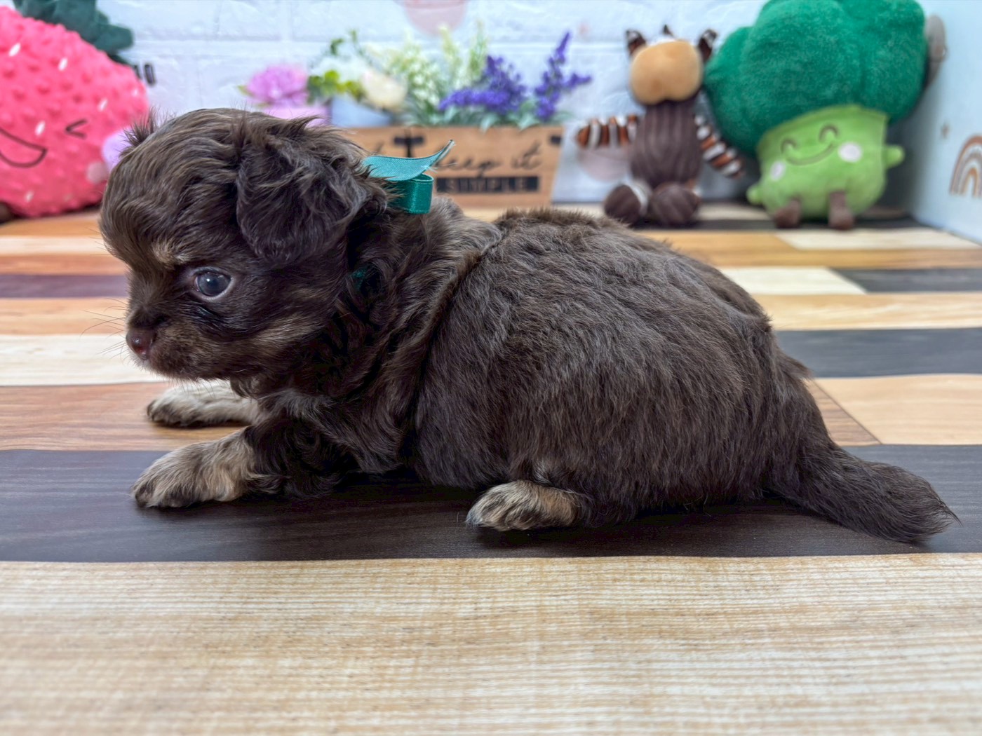 赤ちゃん写真3-2