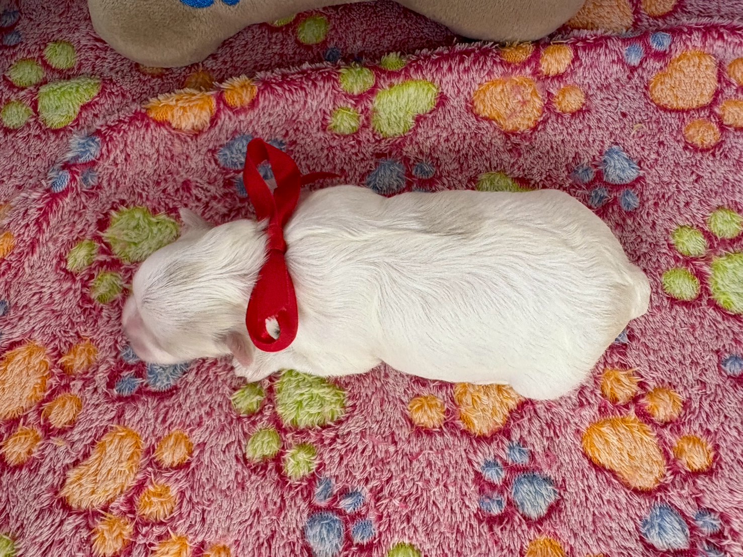 赤ちゃん写真1-3