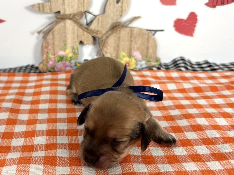 赤ちゃん写真1-1