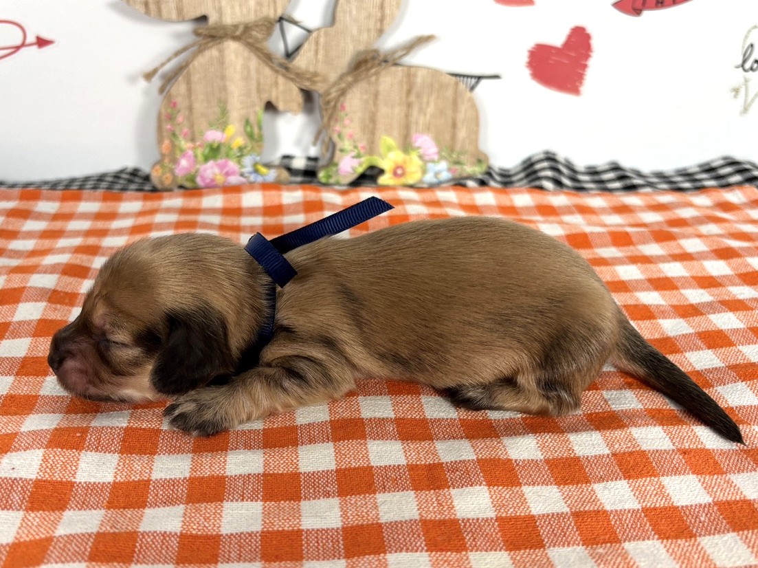 赤ちゃん写真1-2