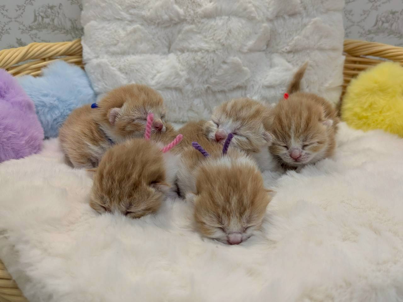 赤ちゃん写真1-3