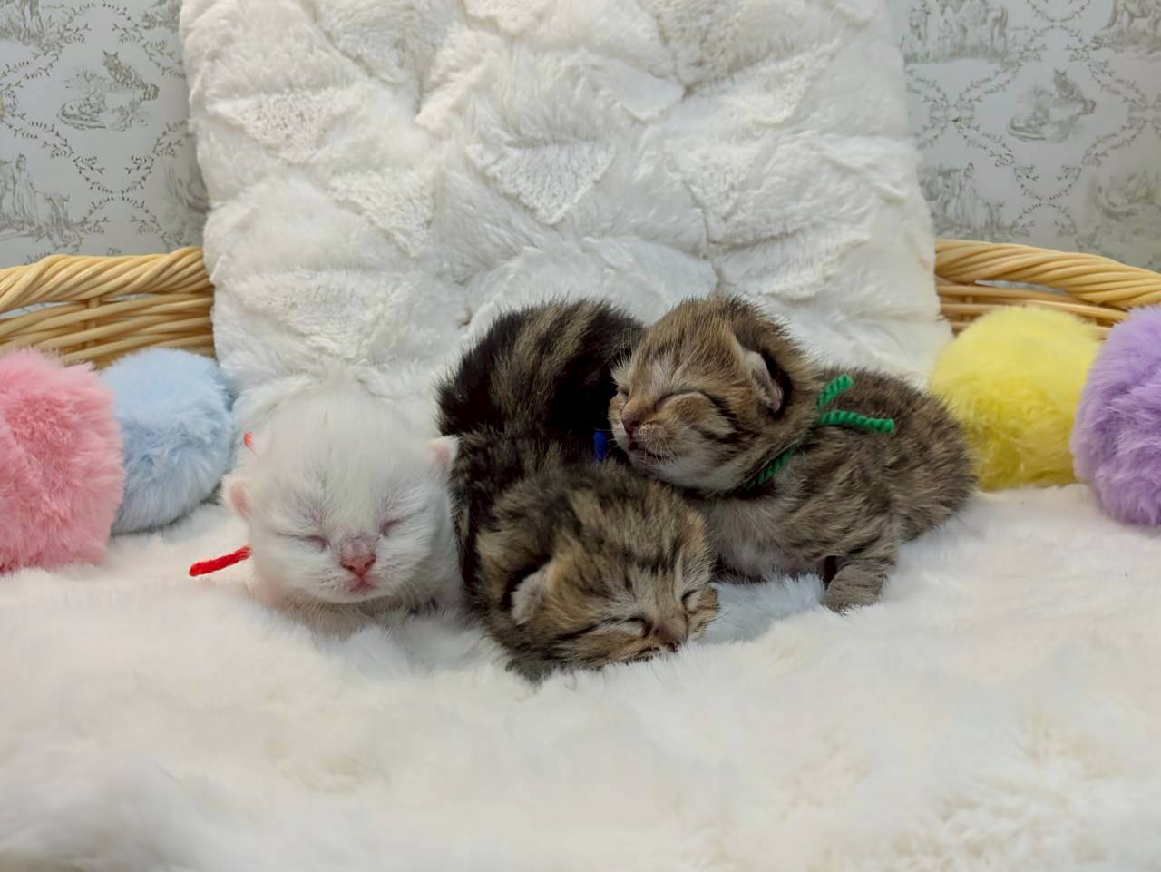 赤ちゃん写真1-3