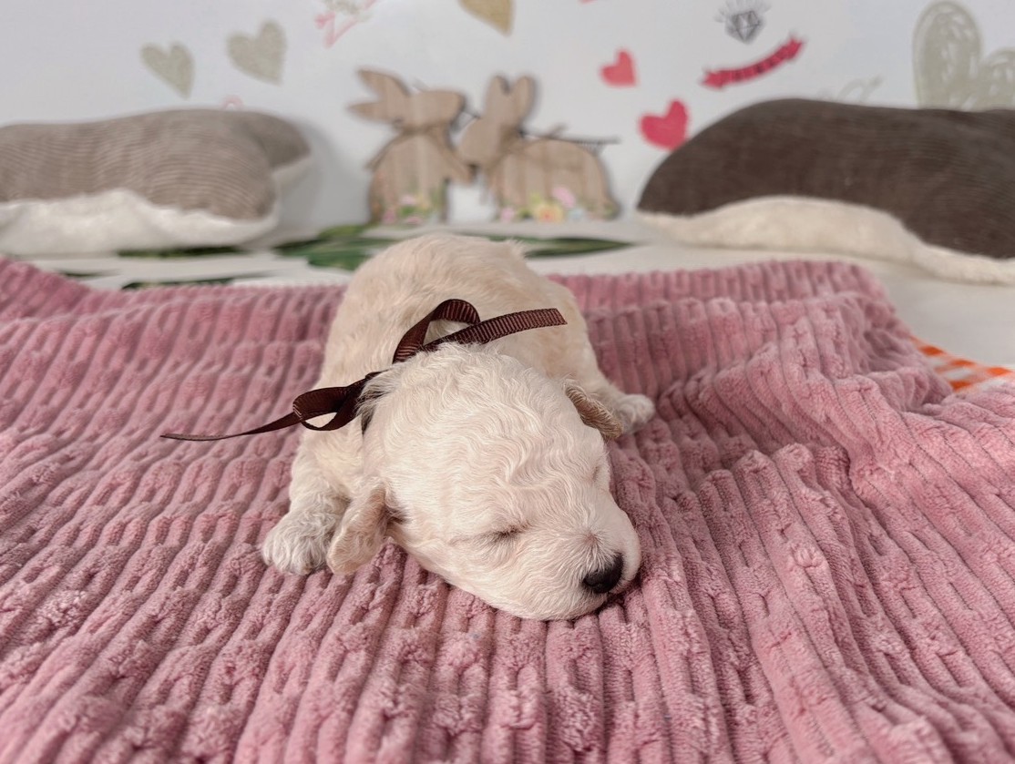赤ちゃん写真1-1