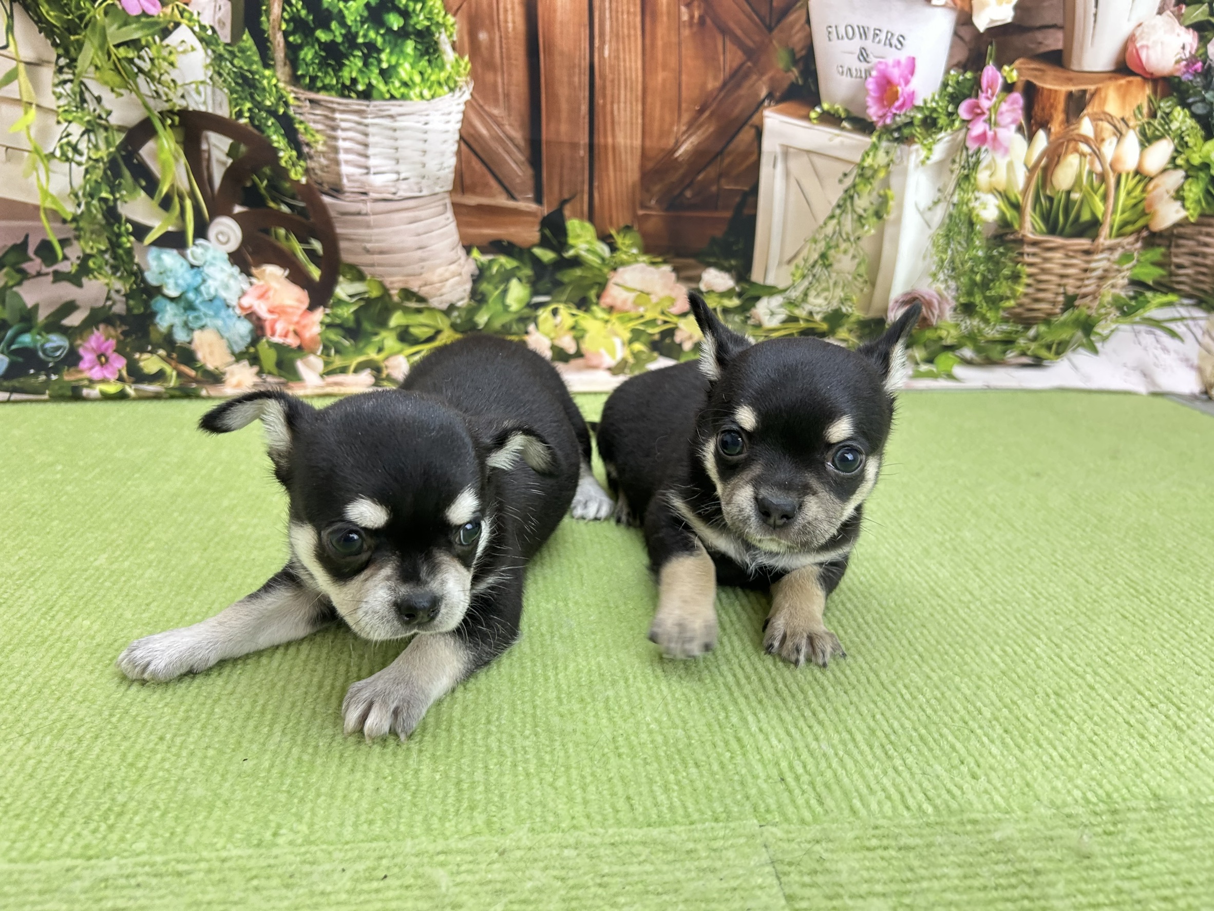 赤ちゃん写真2-3