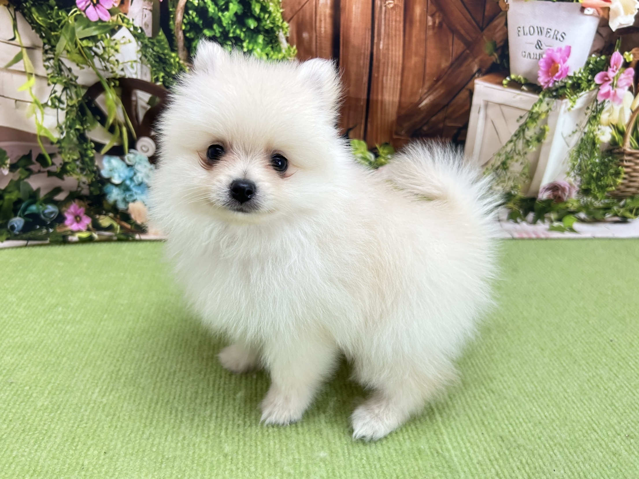 赤ちゃん写真2-2
