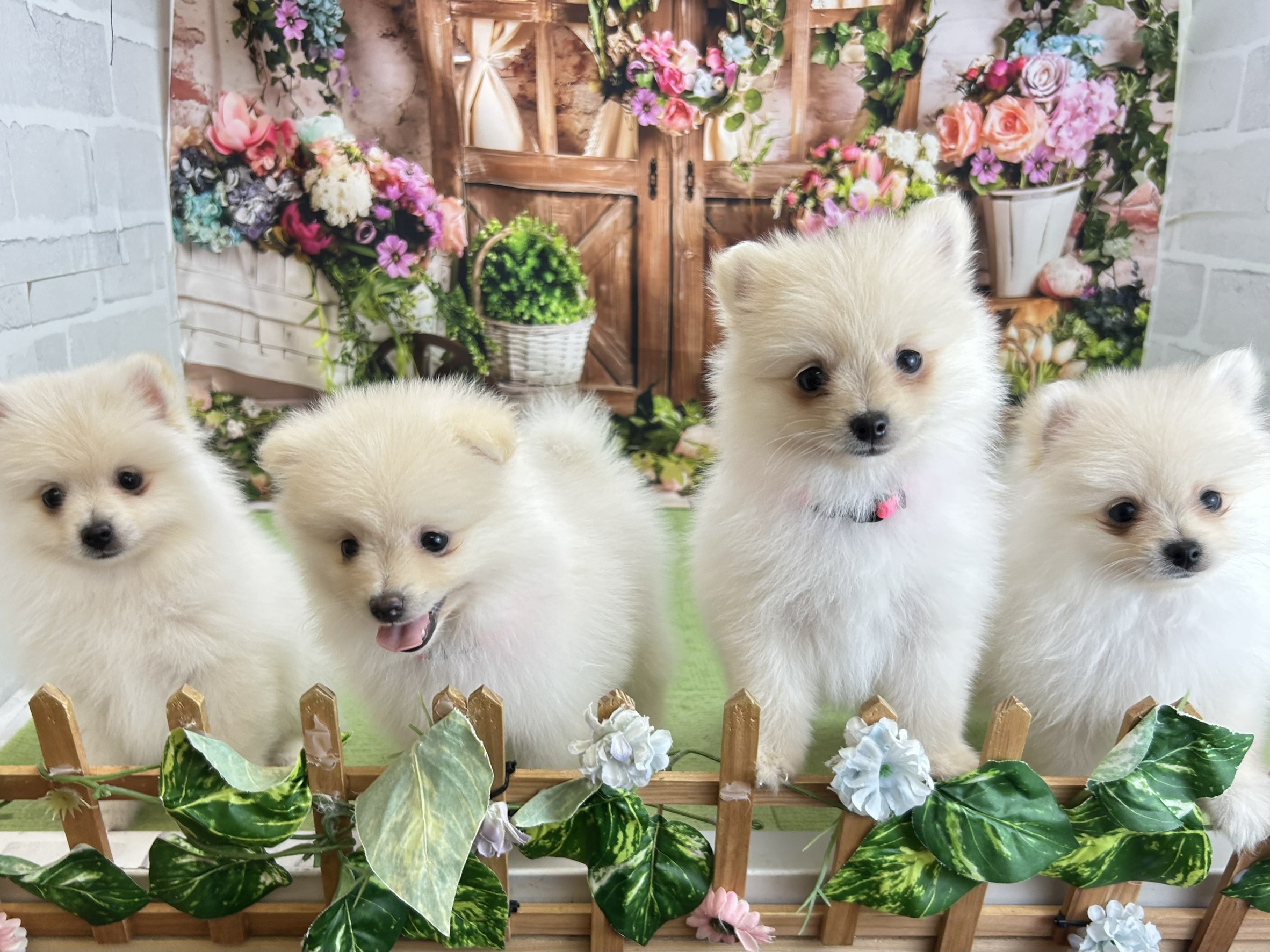 赤ちゃん写真2-3