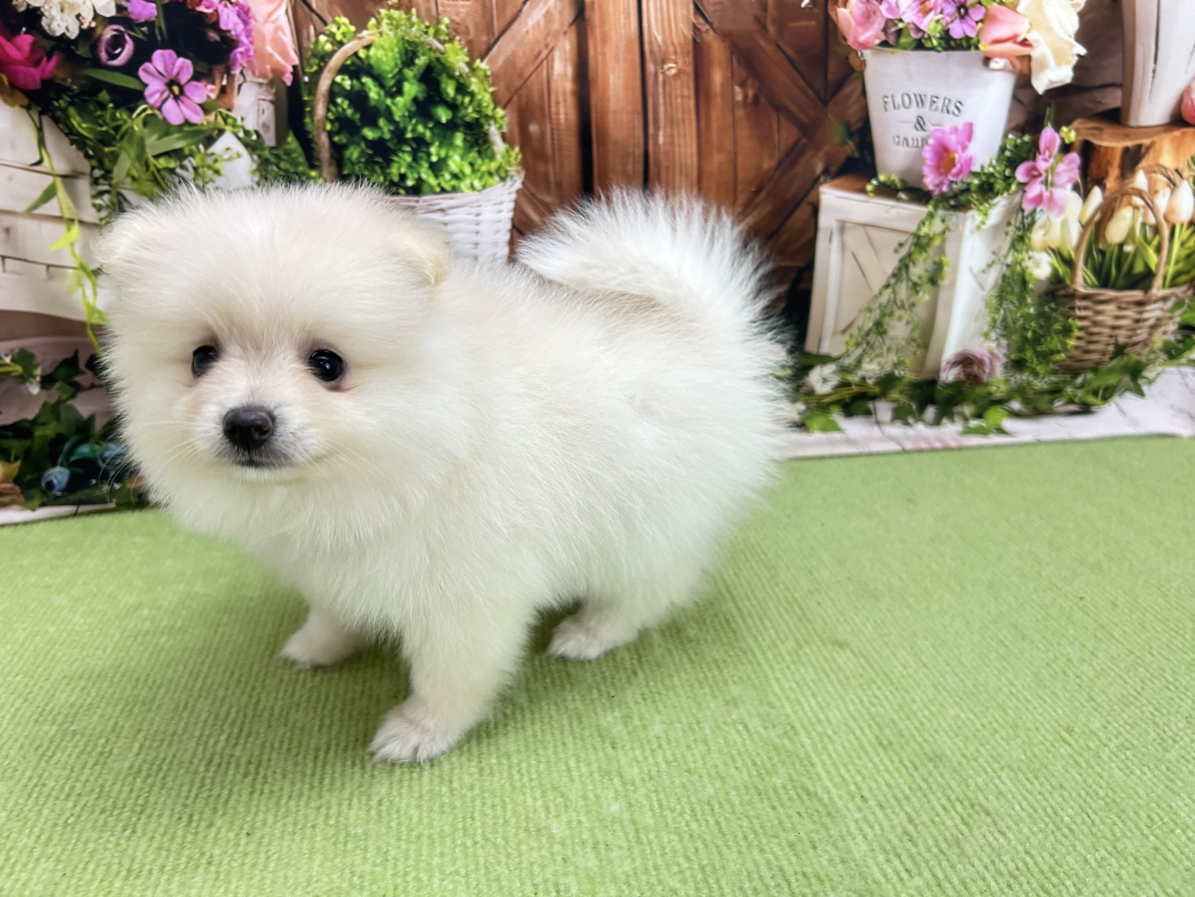 赤ちゃん写真2-2
