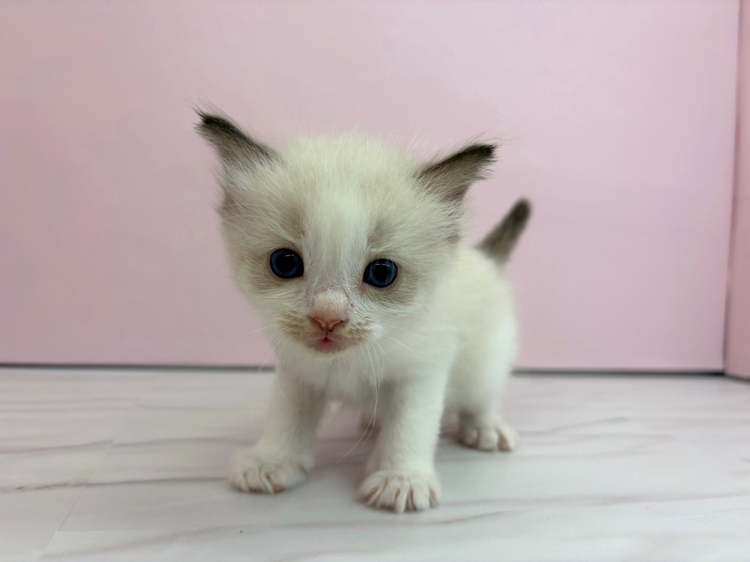 赤ちゃん写真2-1