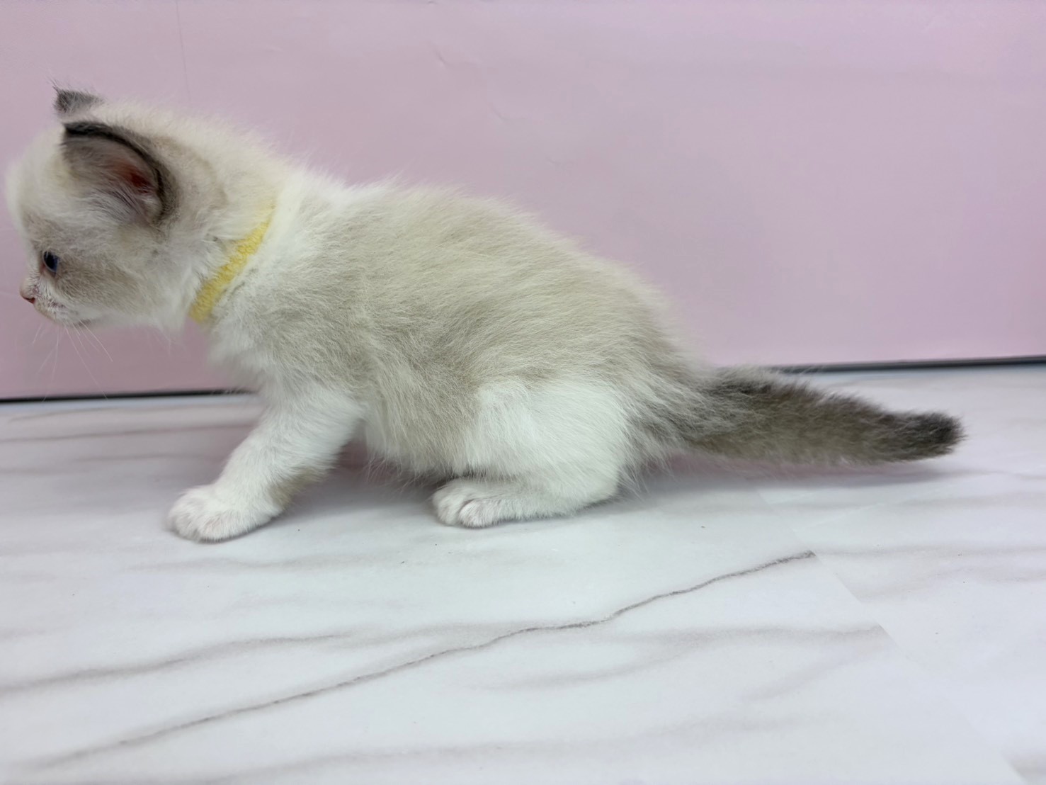 赤ちゃん写真2-2