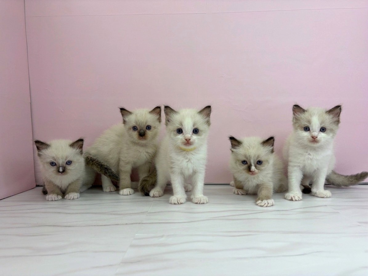 赤ちゃん写真2-3