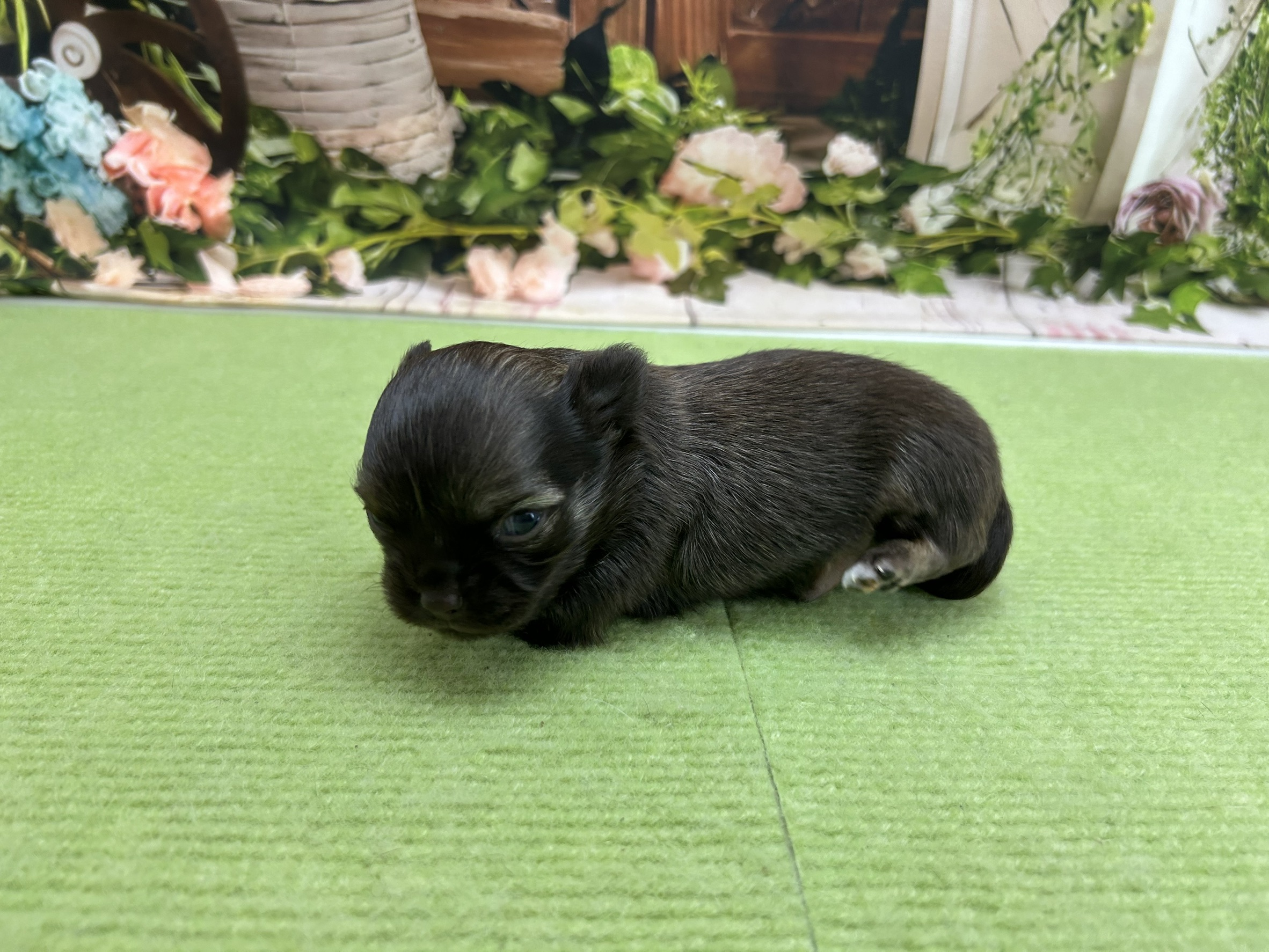 赤ちゃん写真1-3