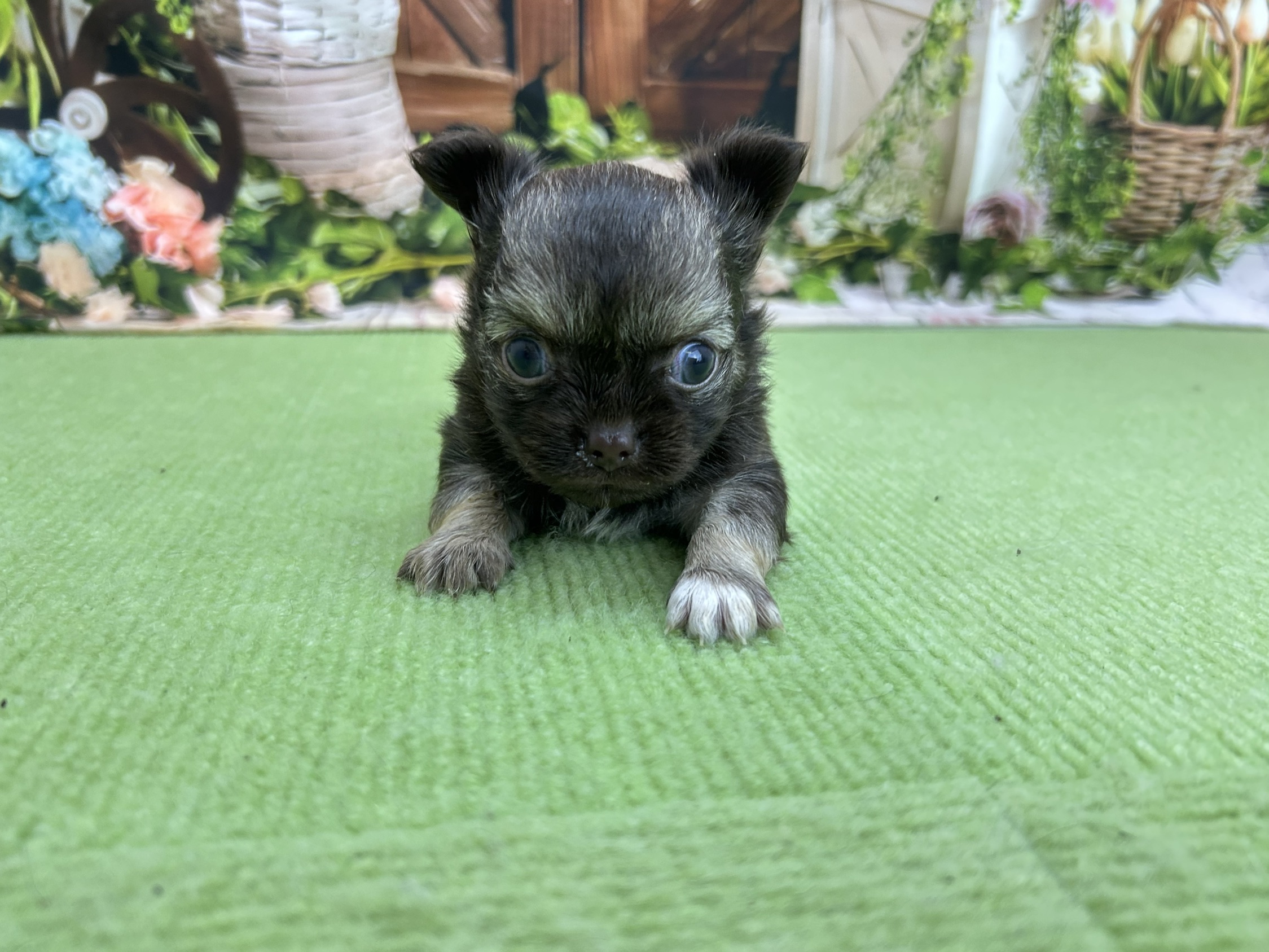 赤ちゃん写真2-1