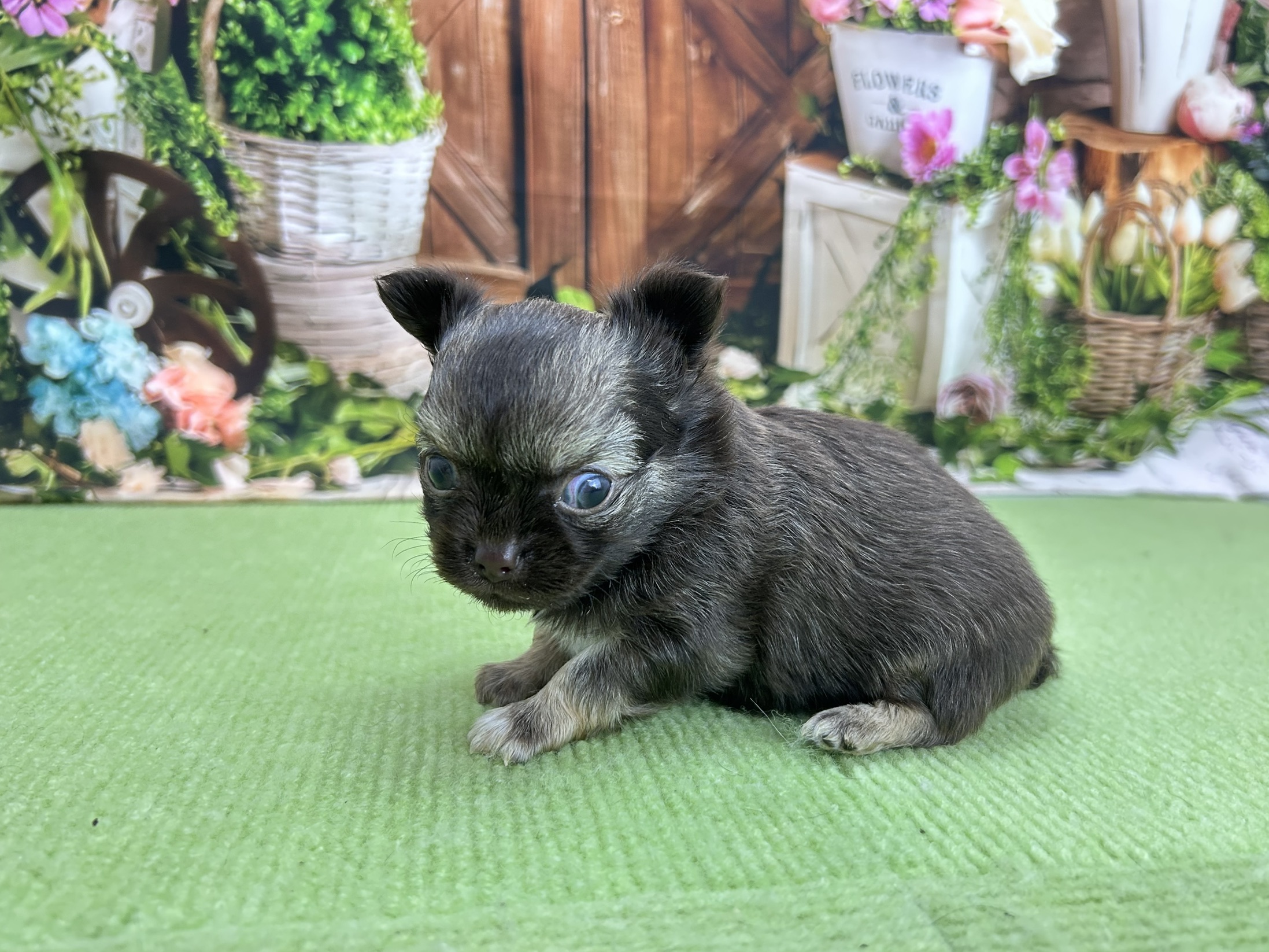赤ちゃん写真2-2