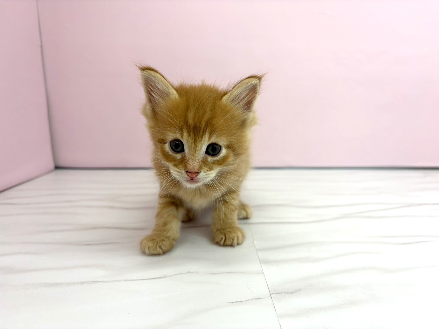 赤ちゃん写真2-1