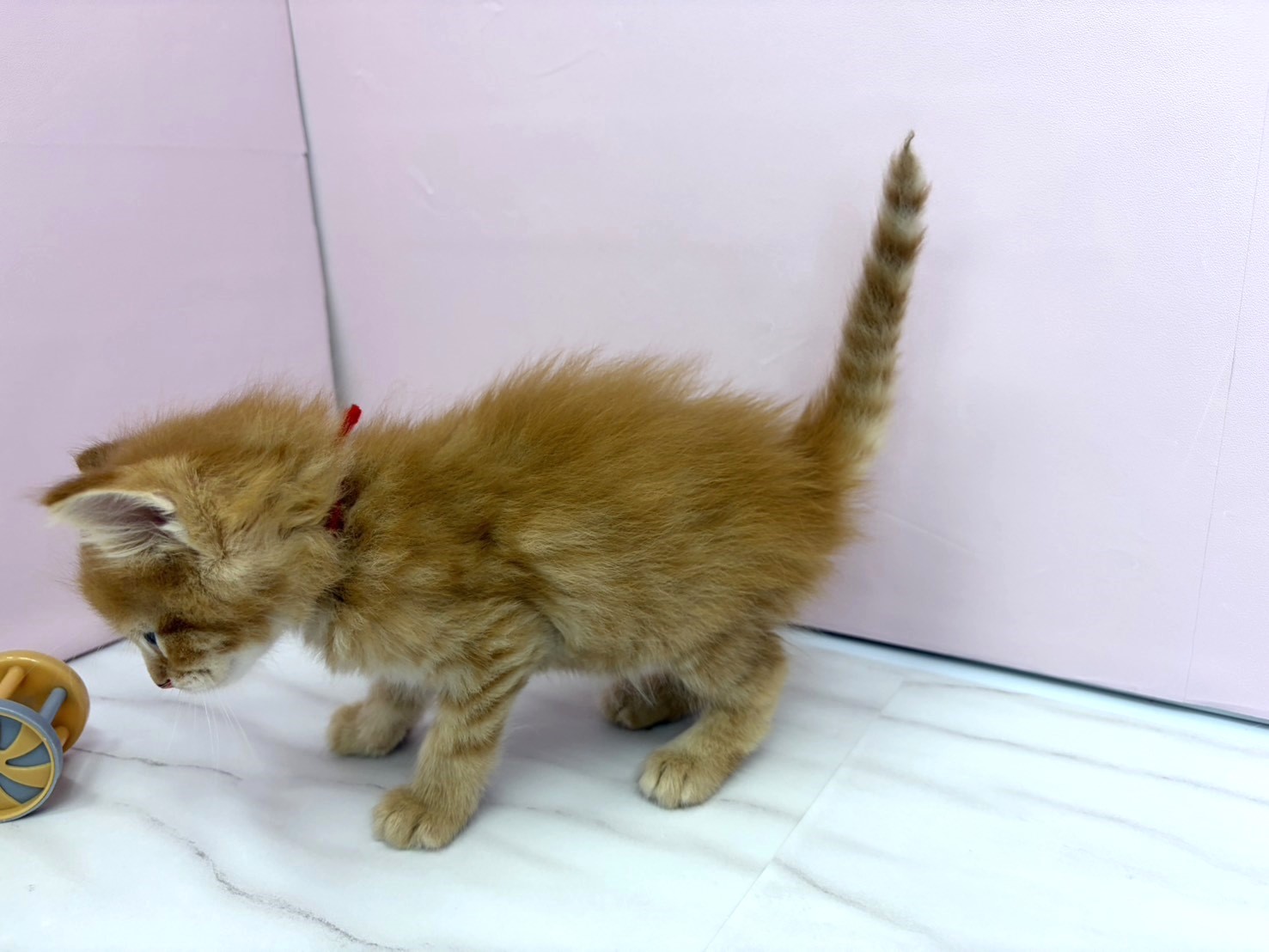 赤ちゃん写真2-2