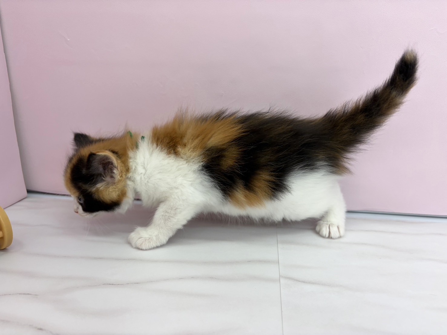 赤ちゃん写真2-2