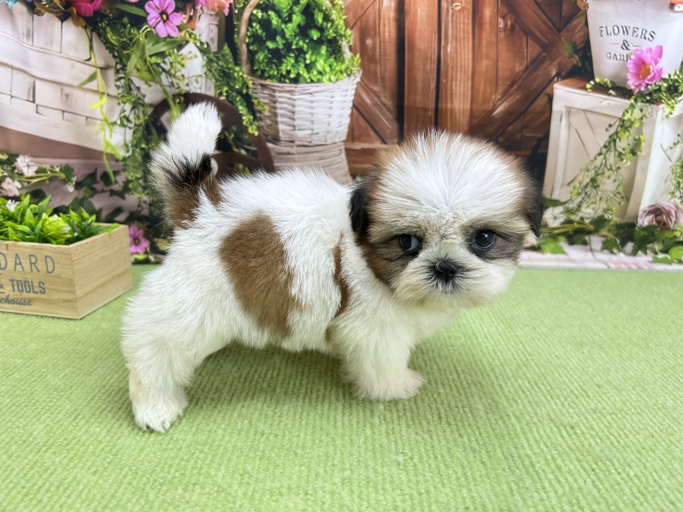 赤ちゃん写真2-2