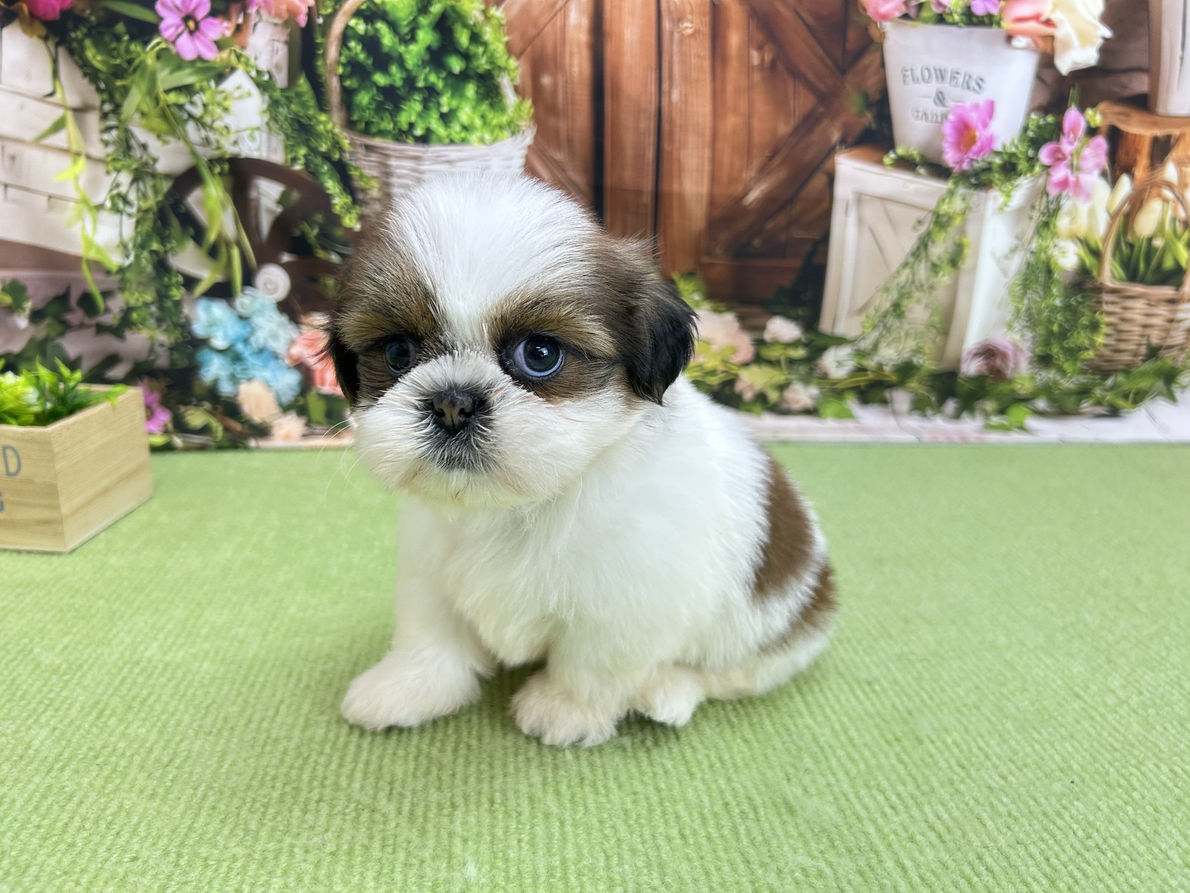 赤ちゃん写真2-1