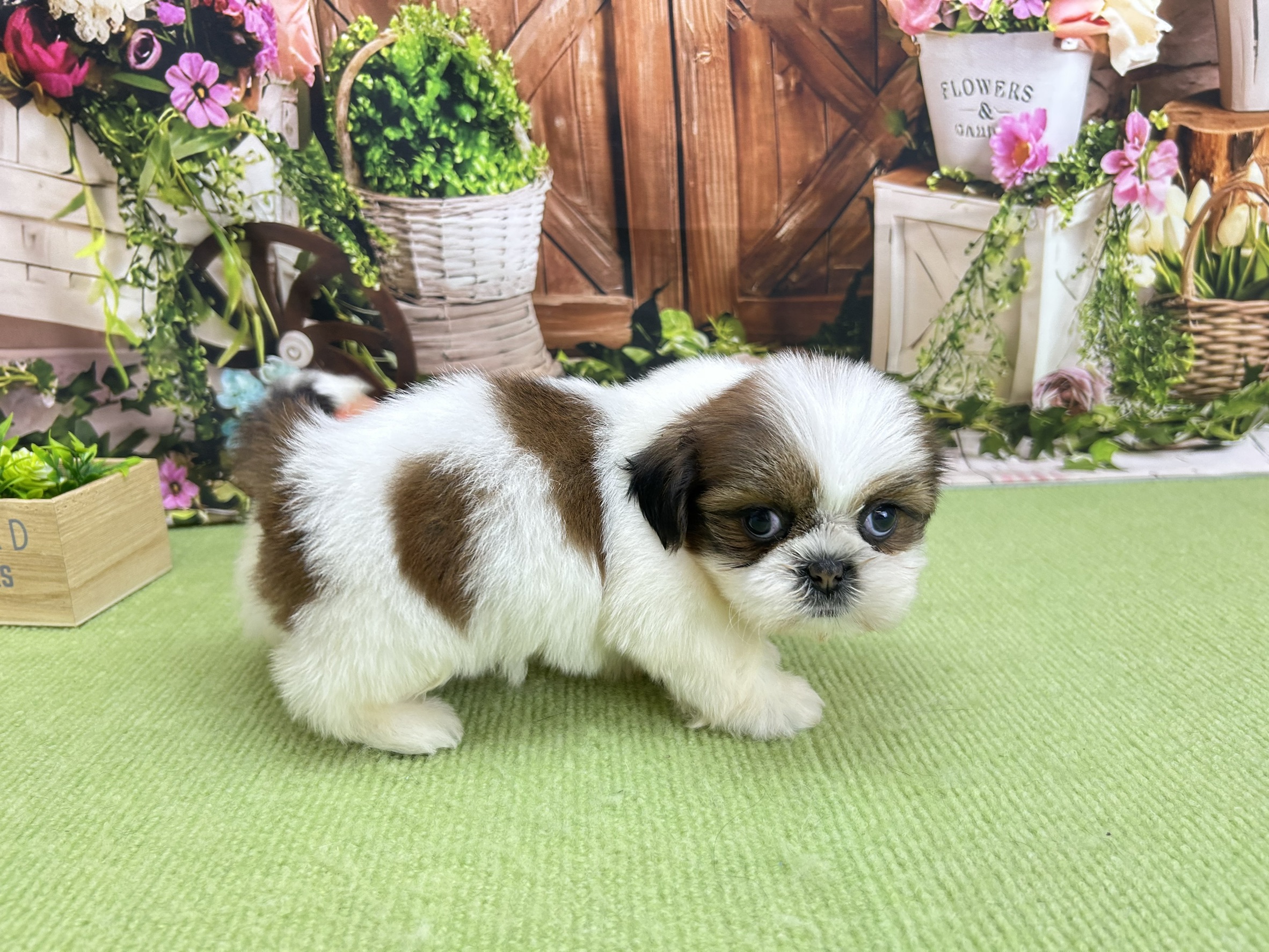 赤ちゃん写真2-2